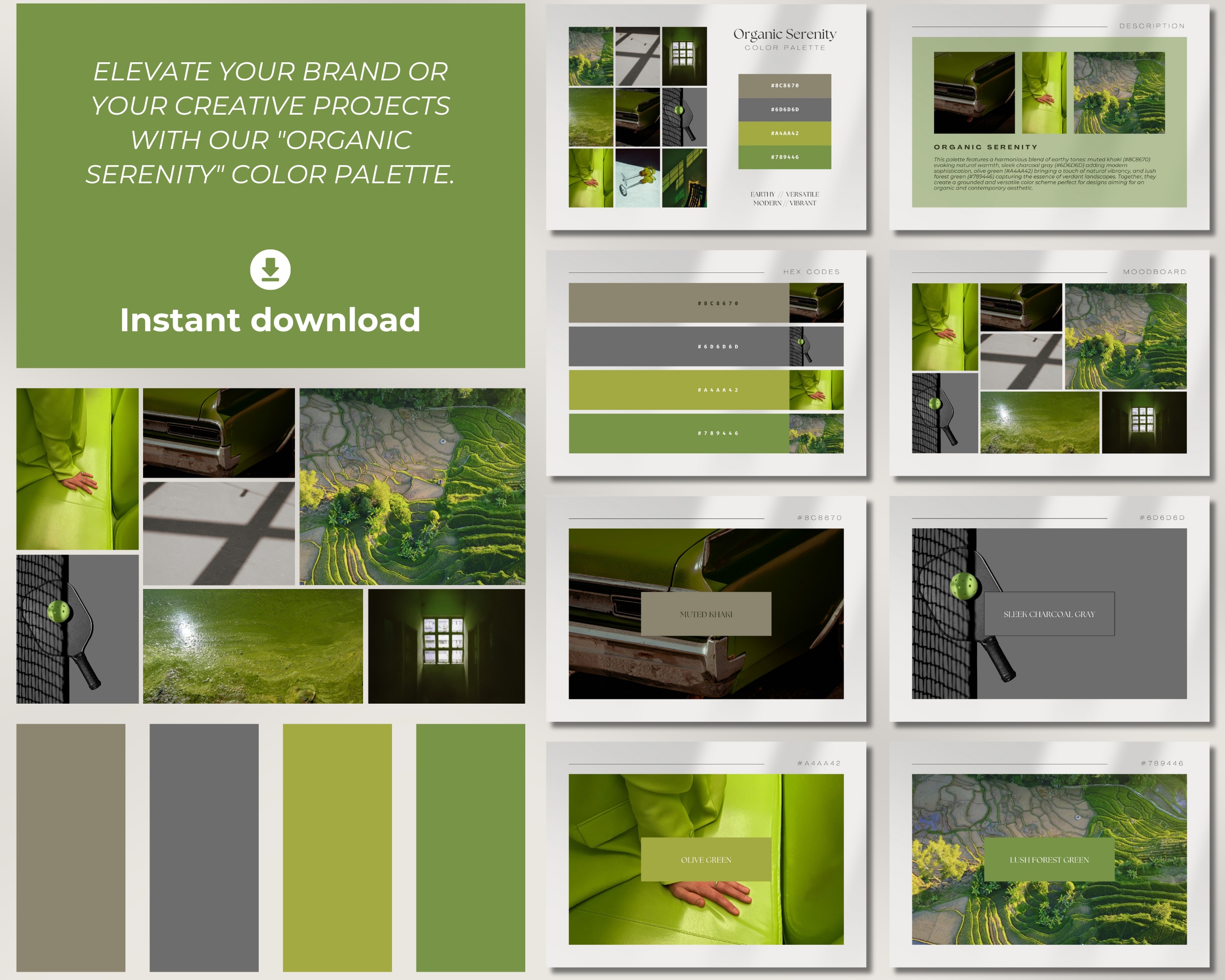 Organic Serenity Digital Color Palette