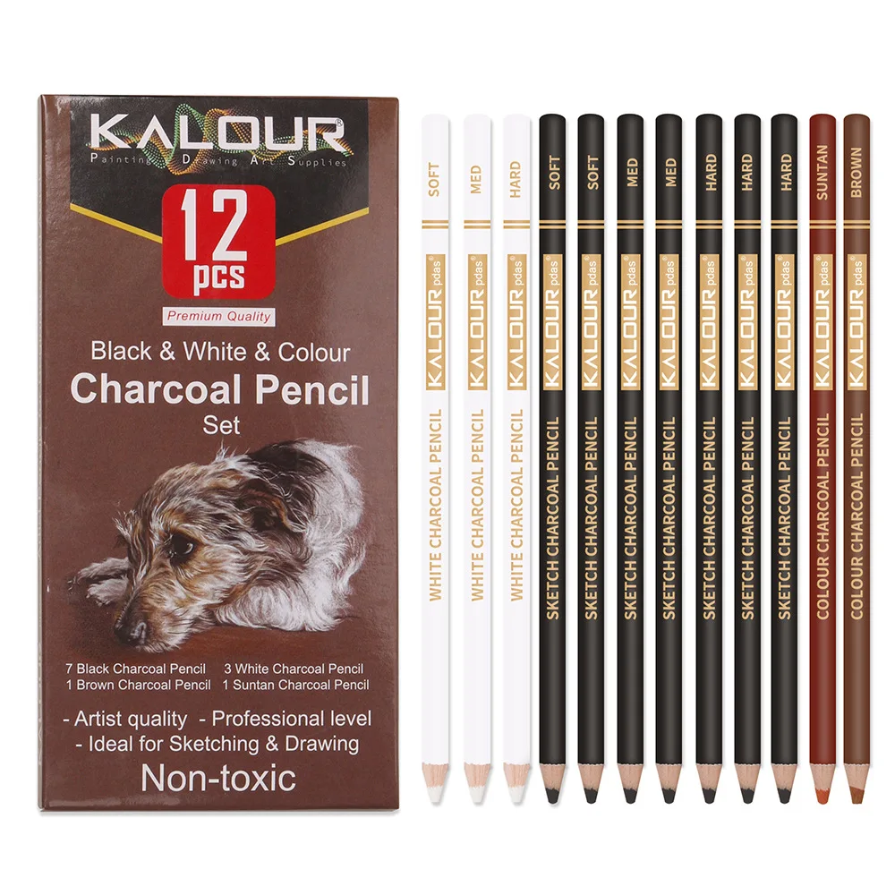 Juego de lapices profesionales de carbon y de colores marca KALOUR-lápiz, herramienta de dibujo artístico, con 12 unidades