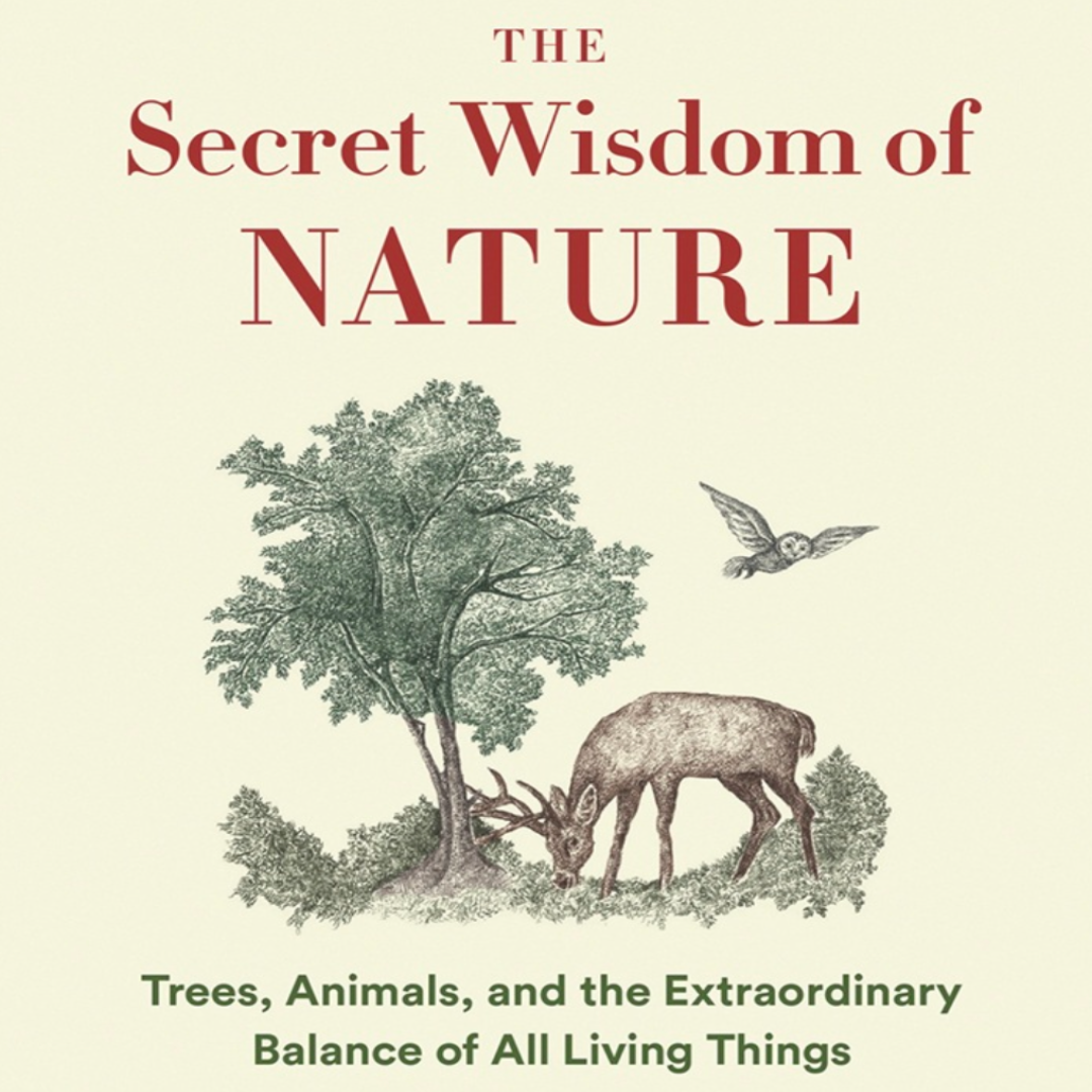 The Secret Wisdom of Nature