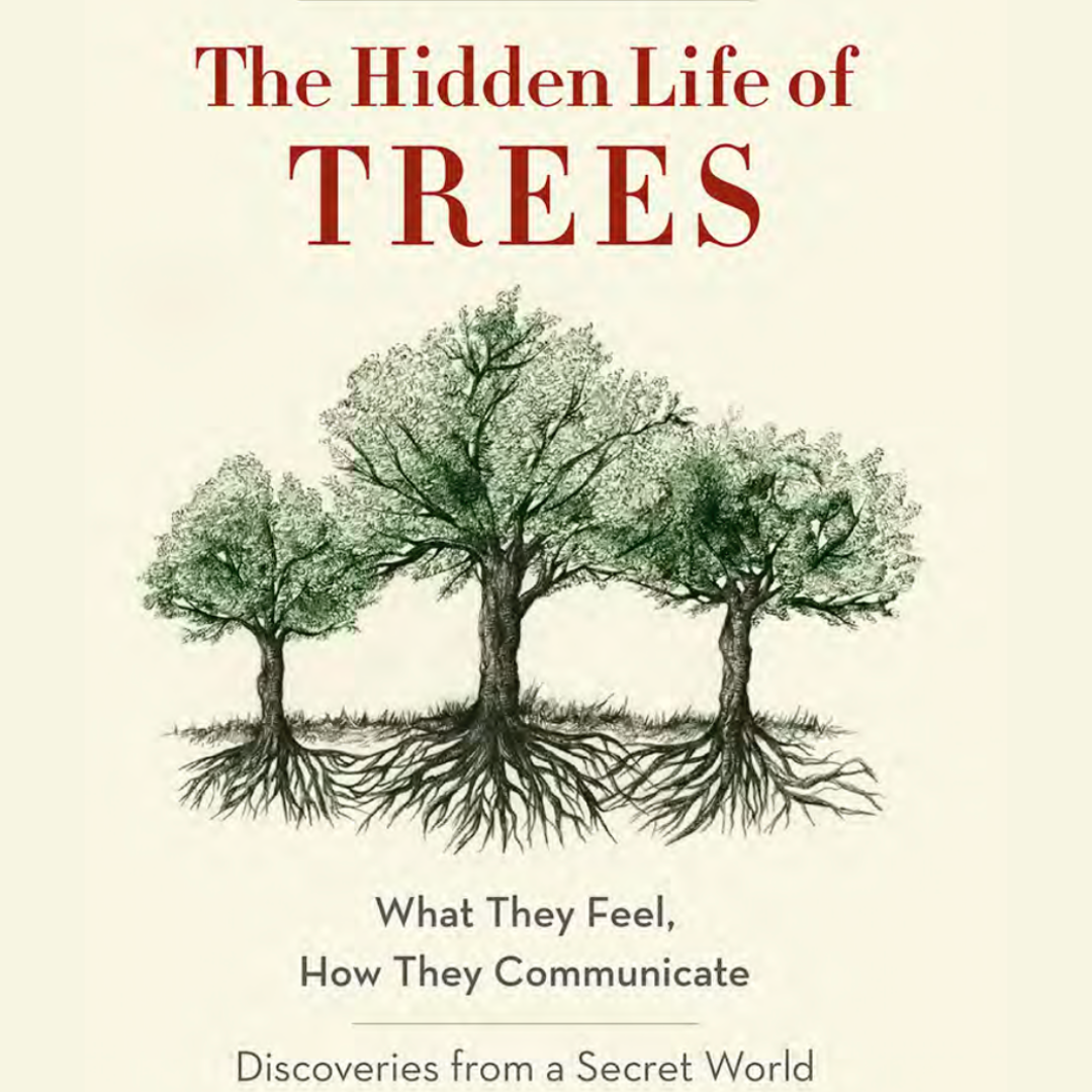 The Hidden Life of Trees by Peter Wohlleben