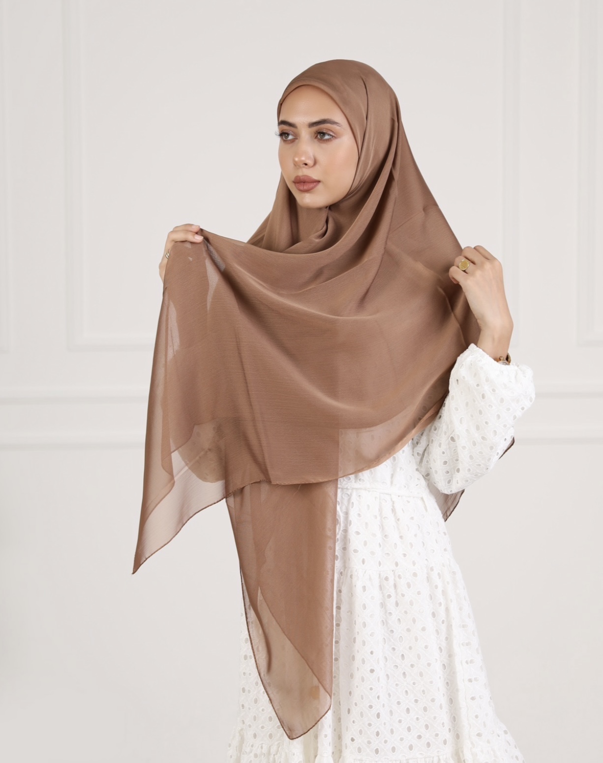 Light Brown Chiffon echarp