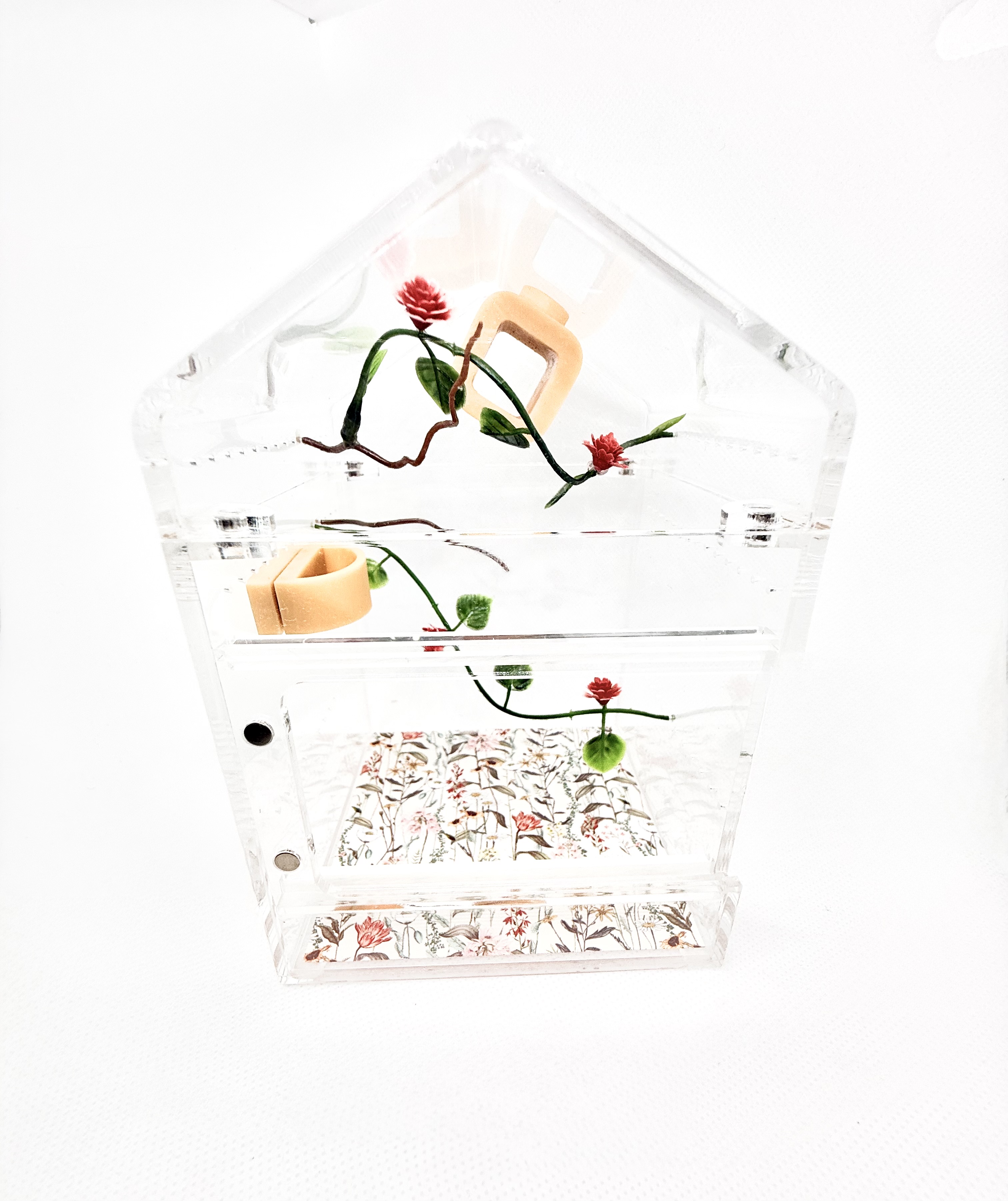 Tiny Villa 3x6
