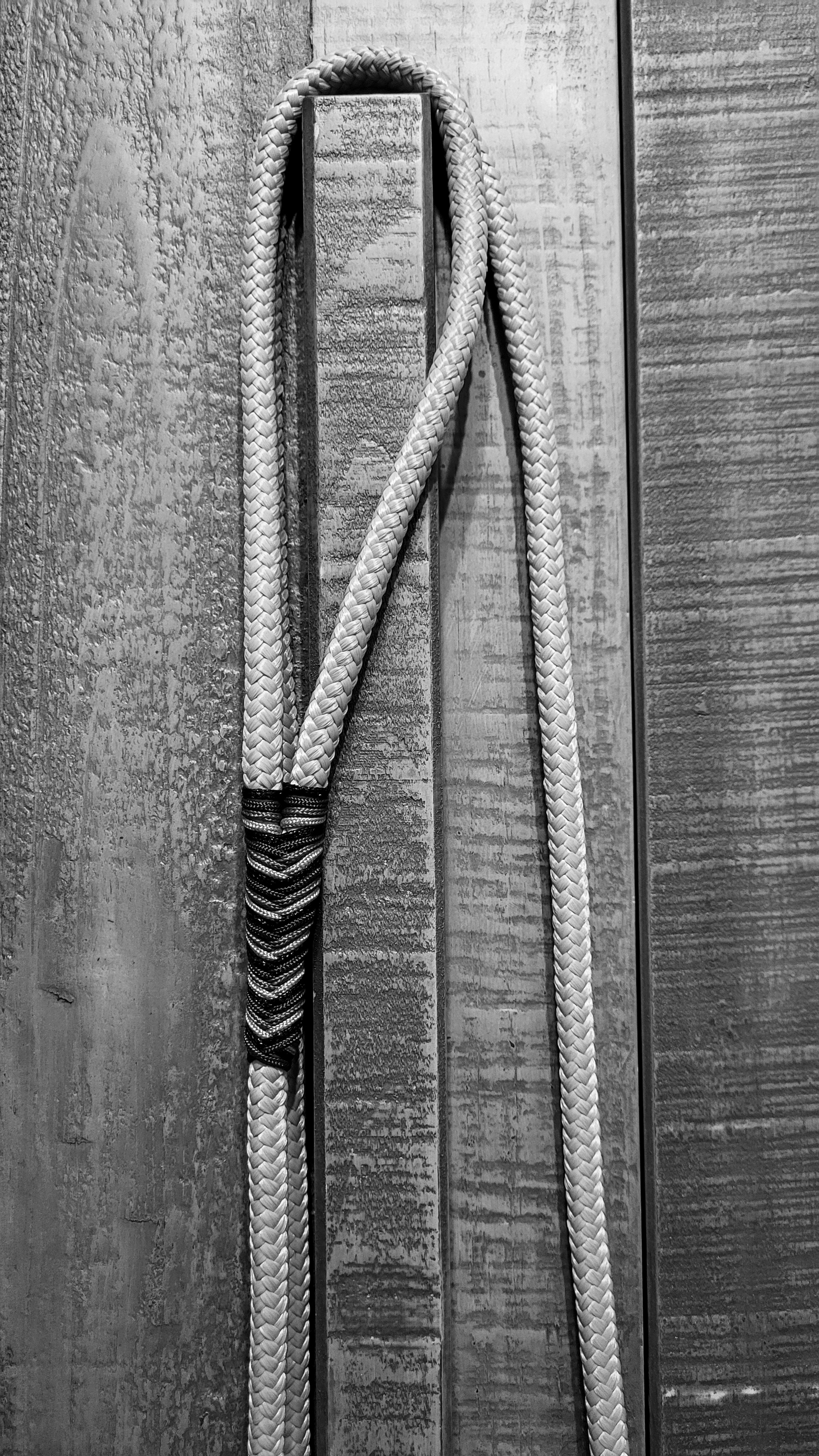 Seilhalfter Black & Oliv