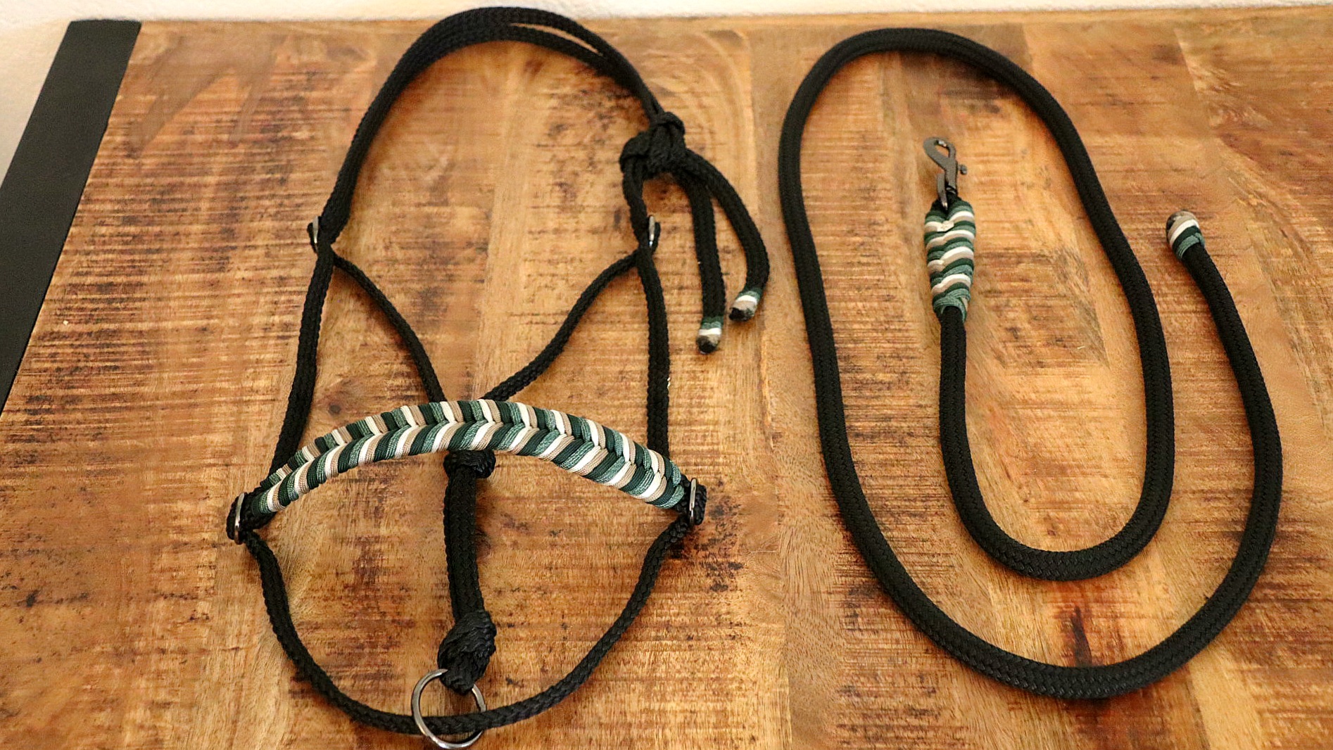 Seilhalfter Black & Mint