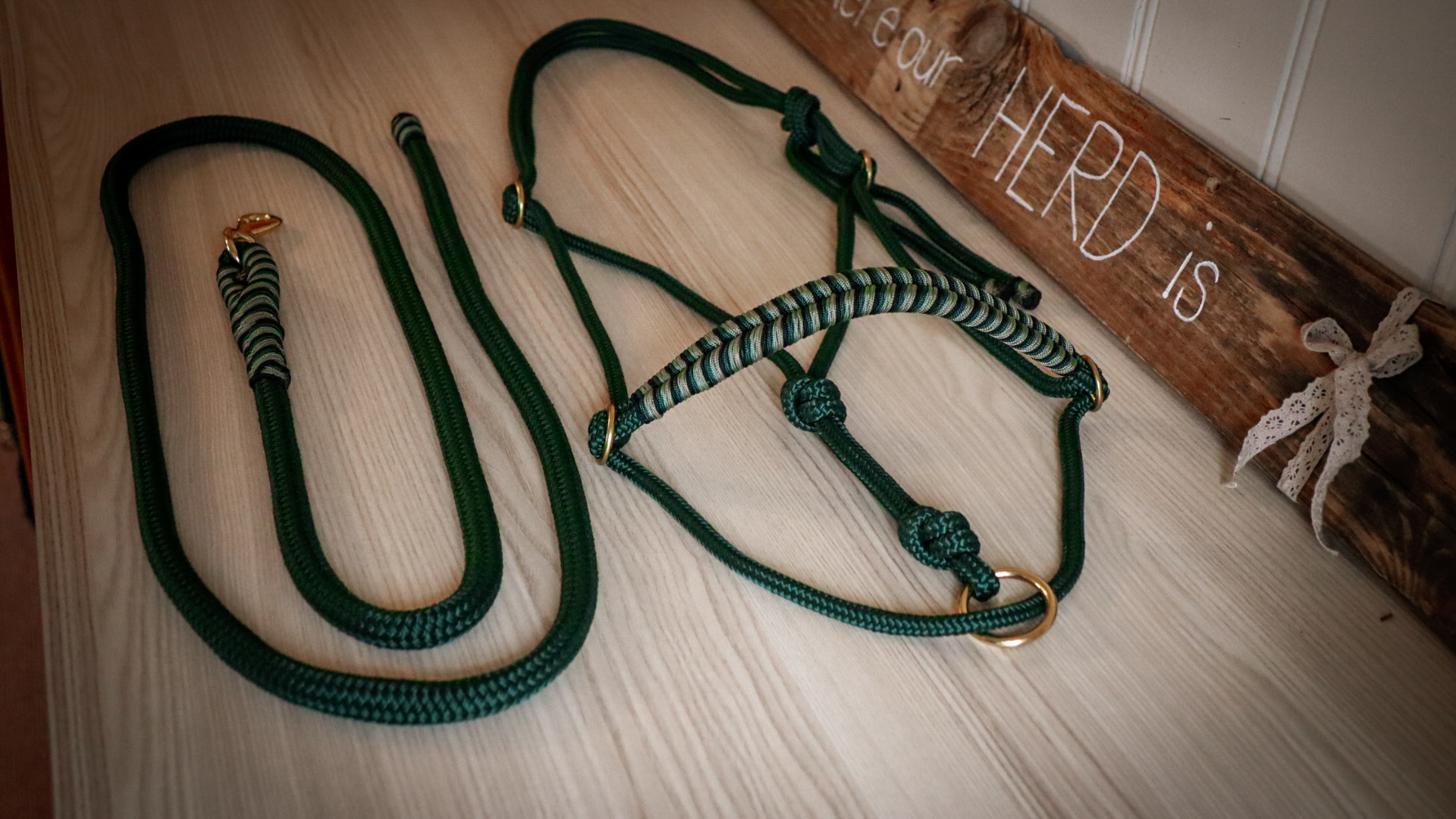 Seilhalfter Darkgreen