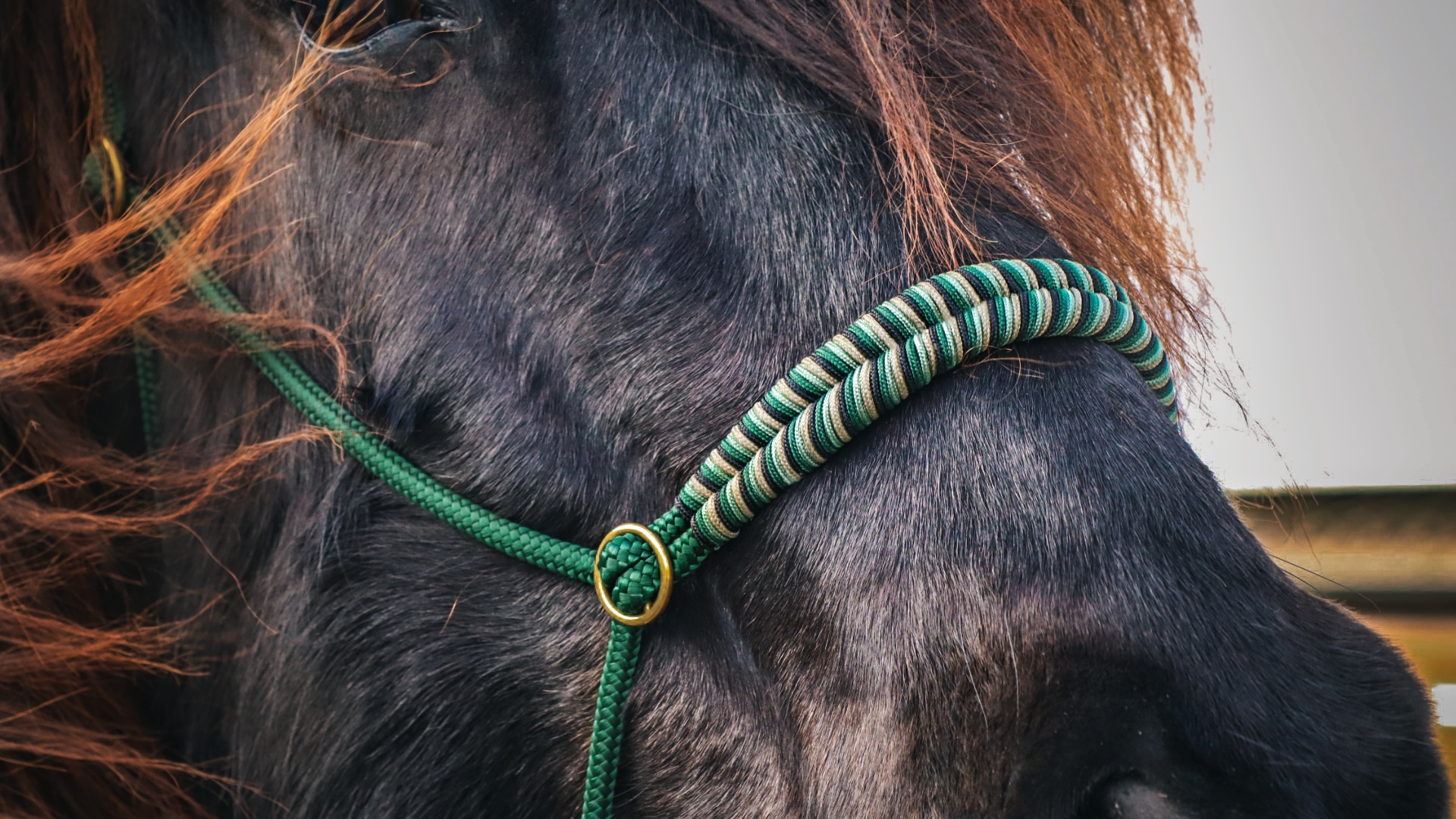 Seilhalfter Darkgreen