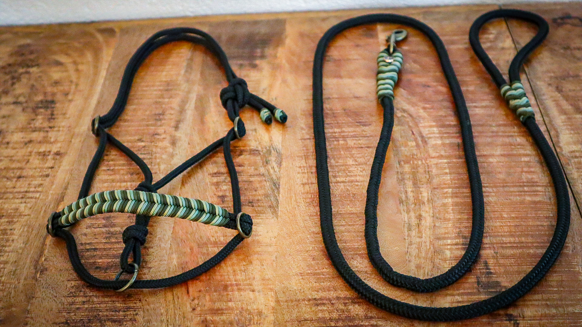 Seilhalfter Black & Oliv