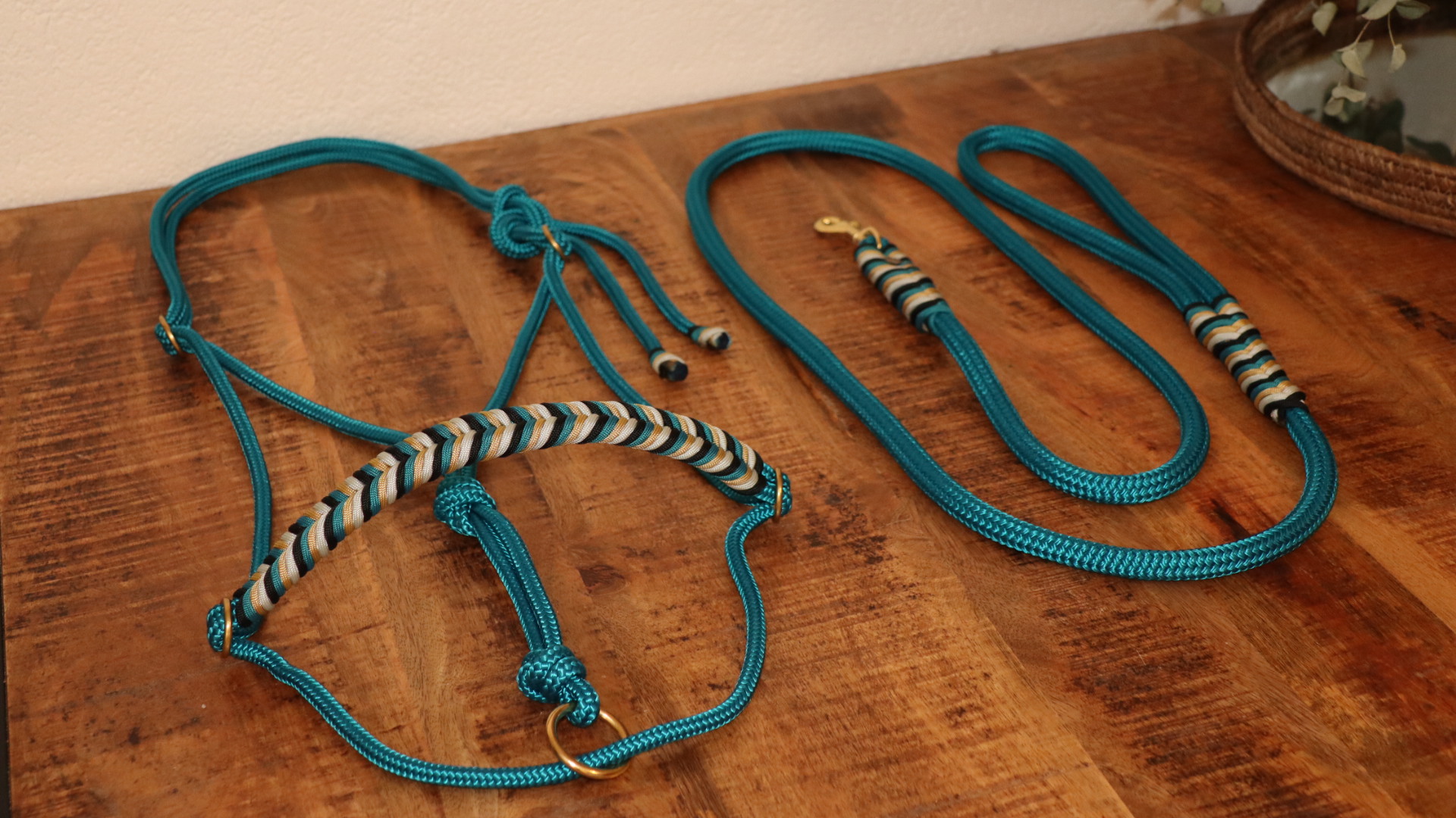 Seilhalfter Turquoise & Gold