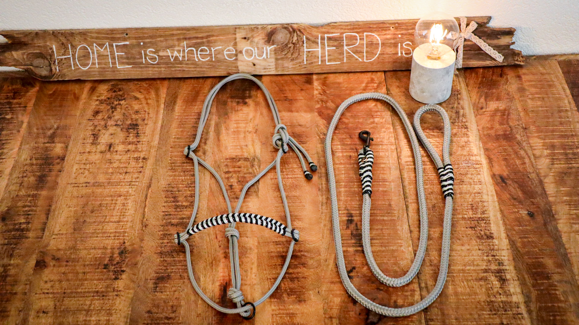 Seilhalfter Silver & Black