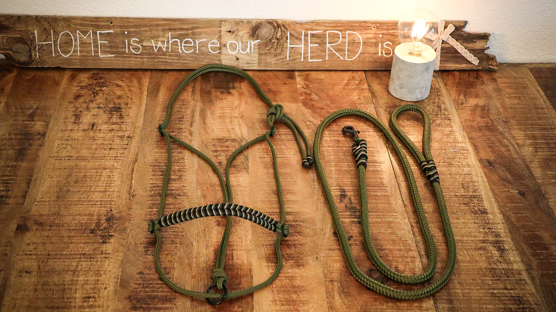 Seilhalfter Oliv & Black 