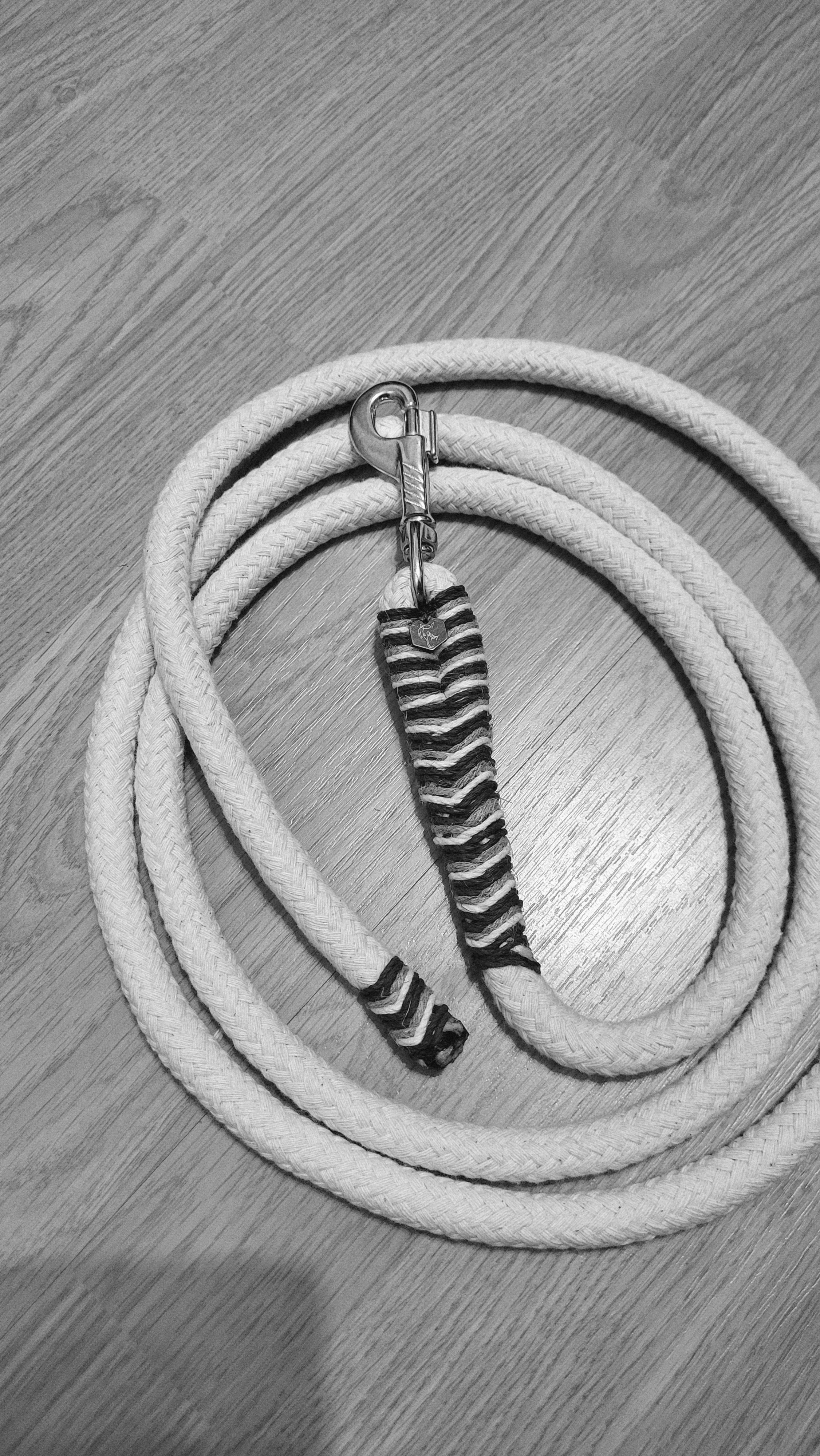 Seilhalfter Oliv & Black 