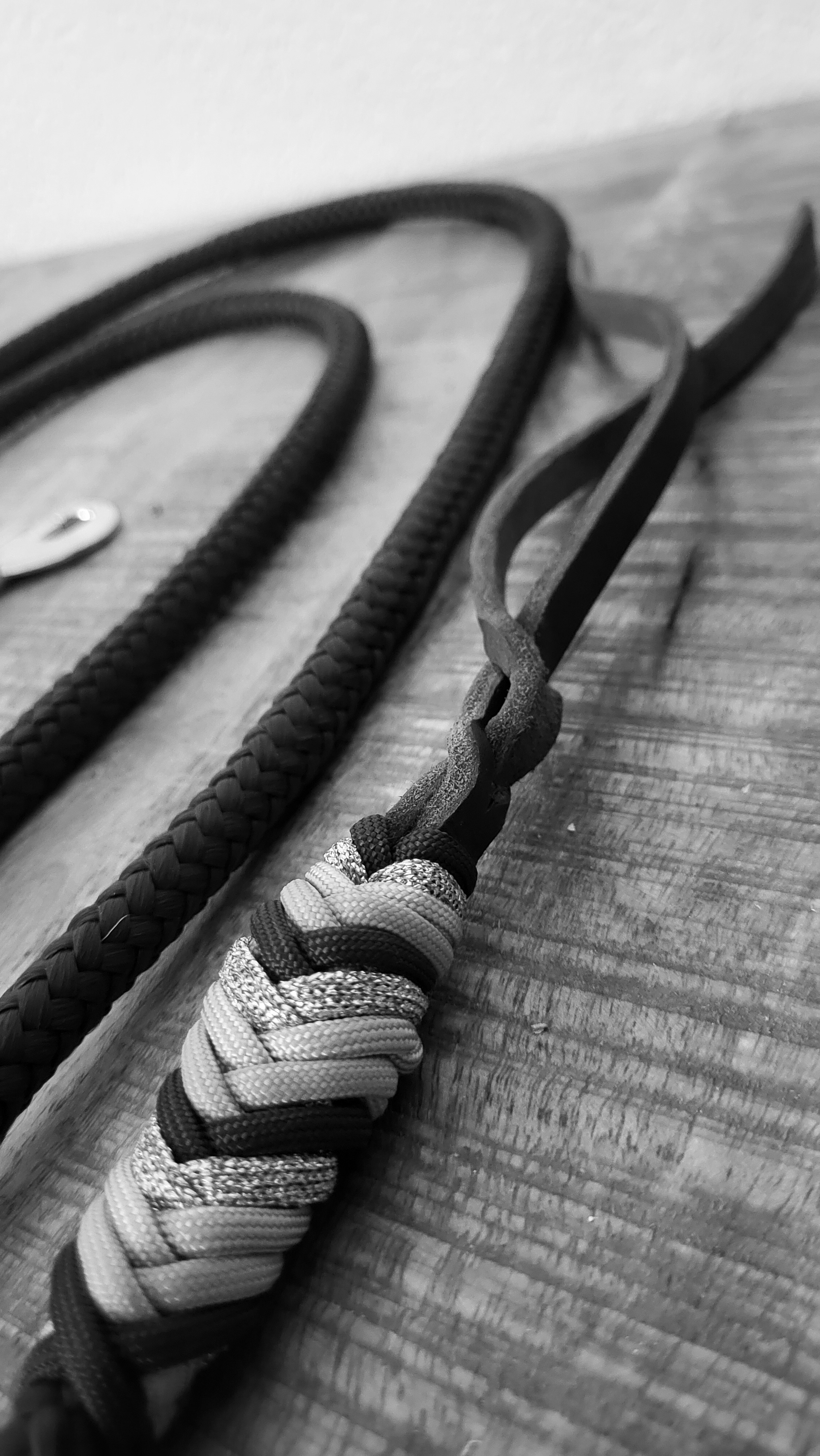 Seilhalfter Oliv & Black 