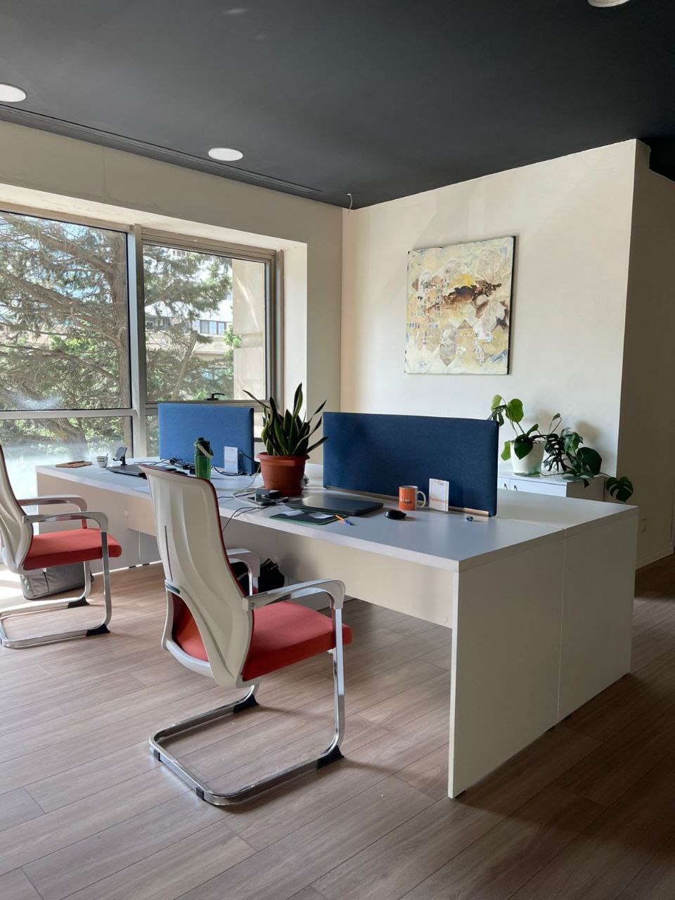 Hot Desk Weekly Pass