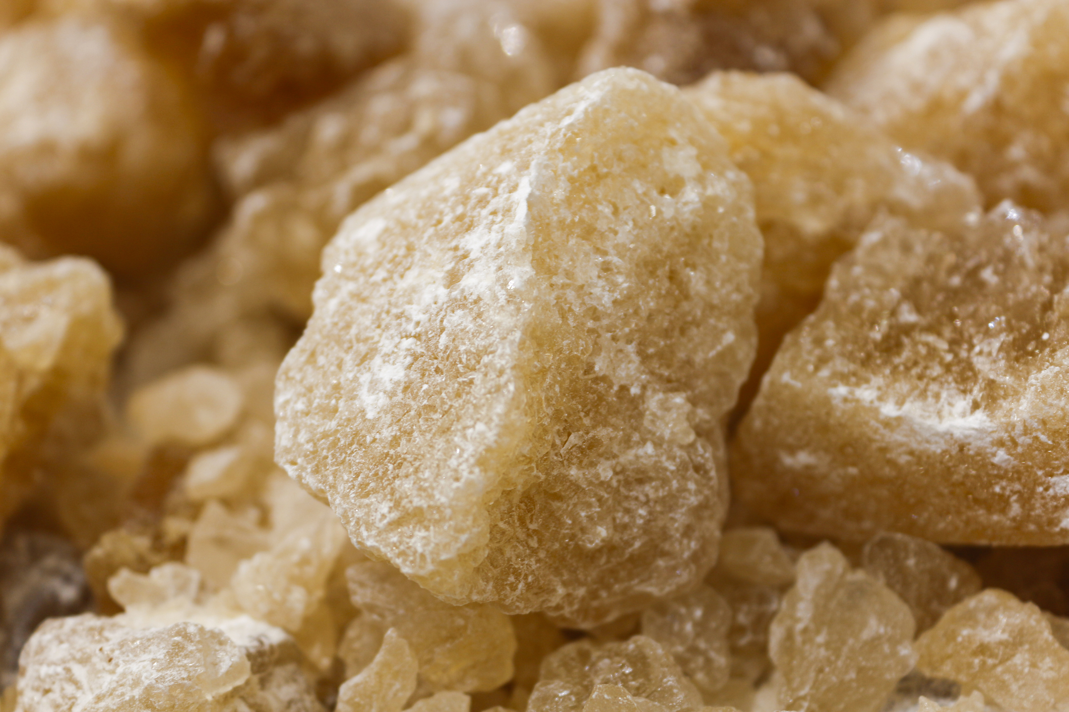 Boswellia Frereana – The King of Frankincense