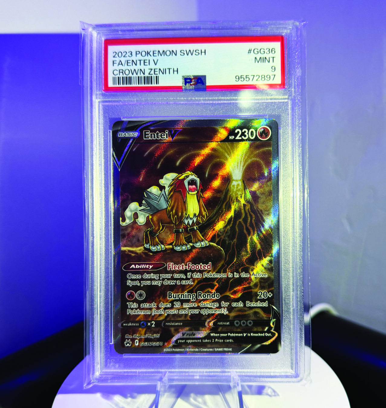 Entei V - Crown Zenith