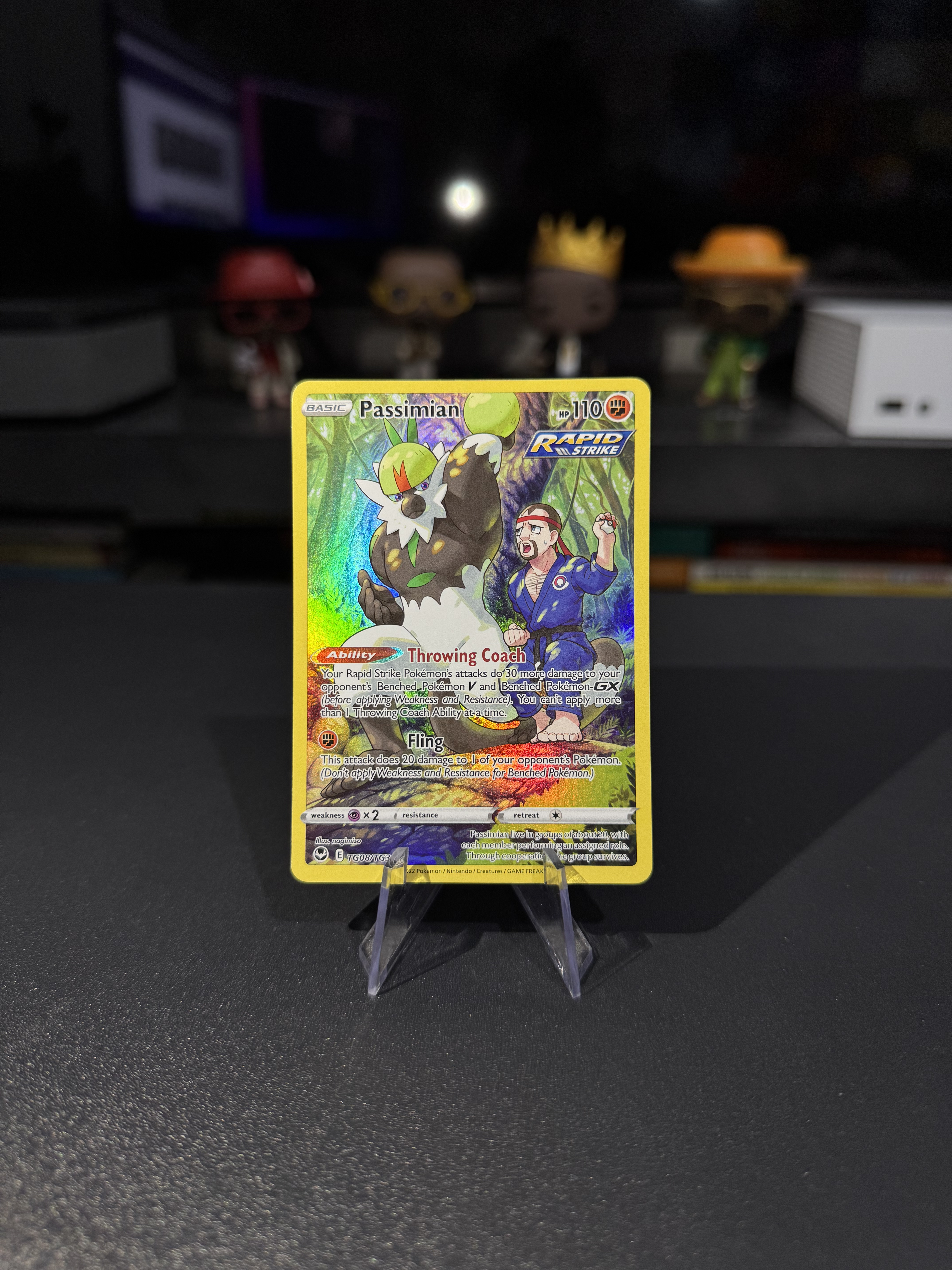 Passimian - Silver Tempest