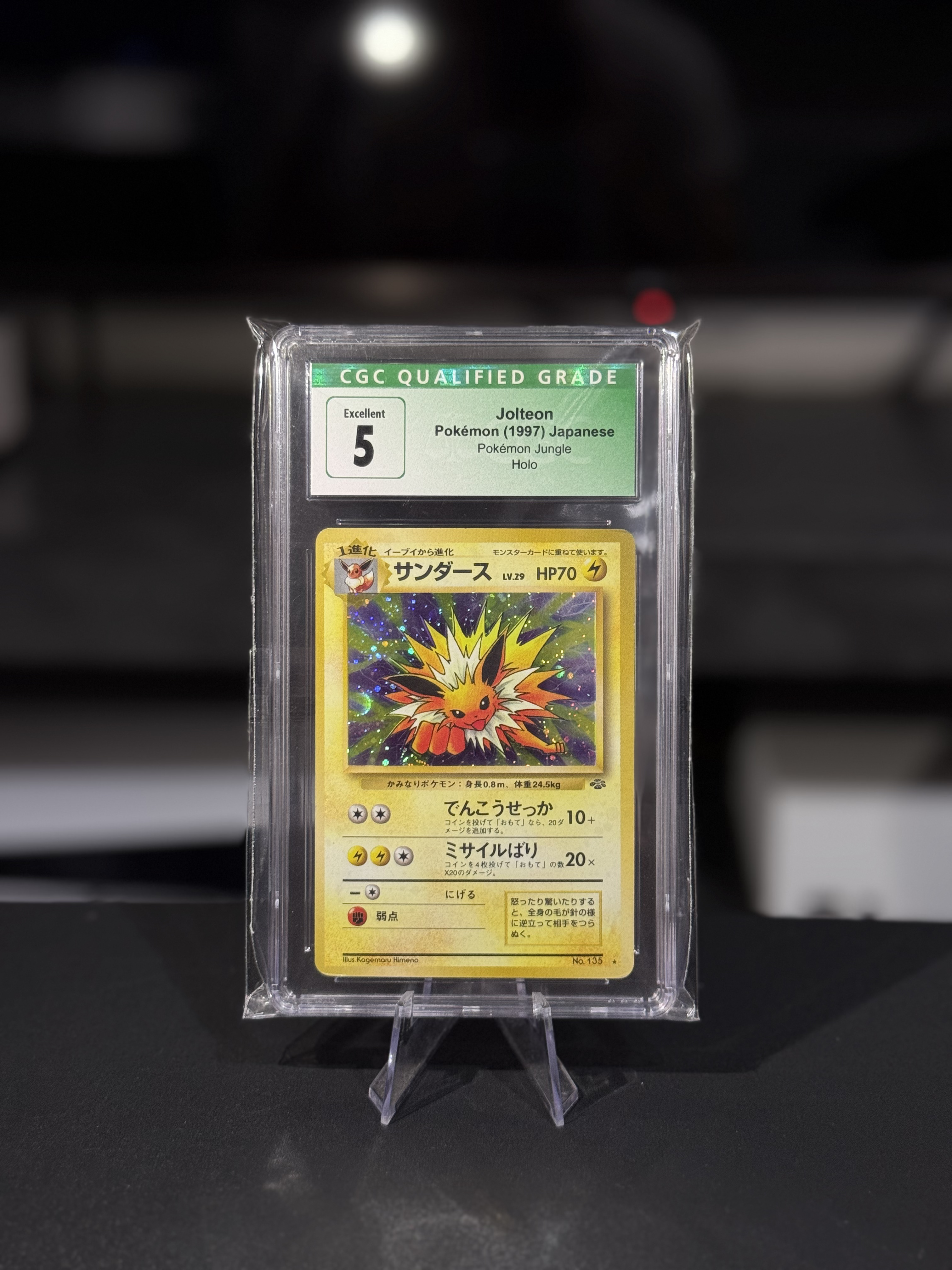 Jolteon - Jungle