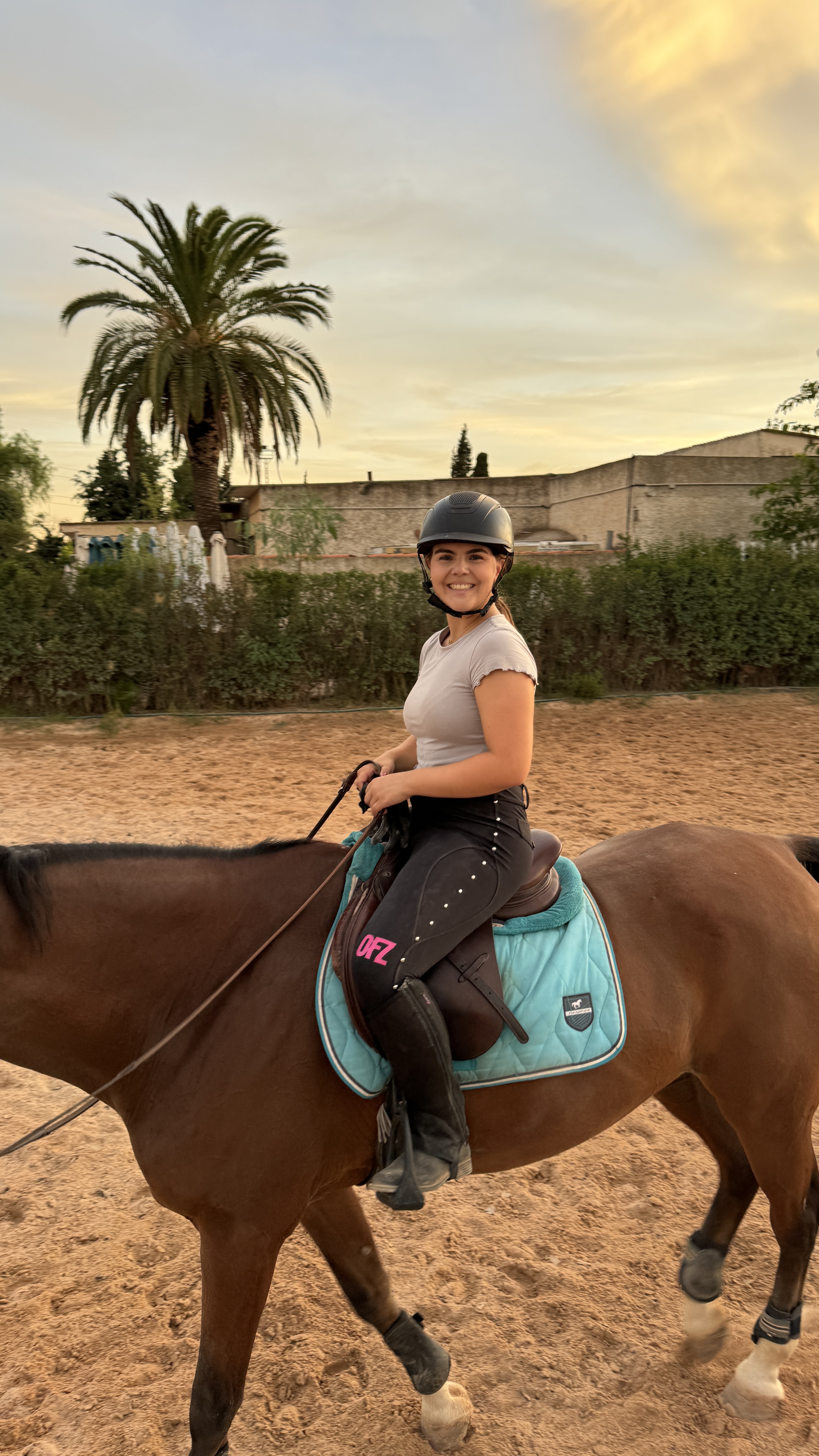 Breeches OFF SEAZON