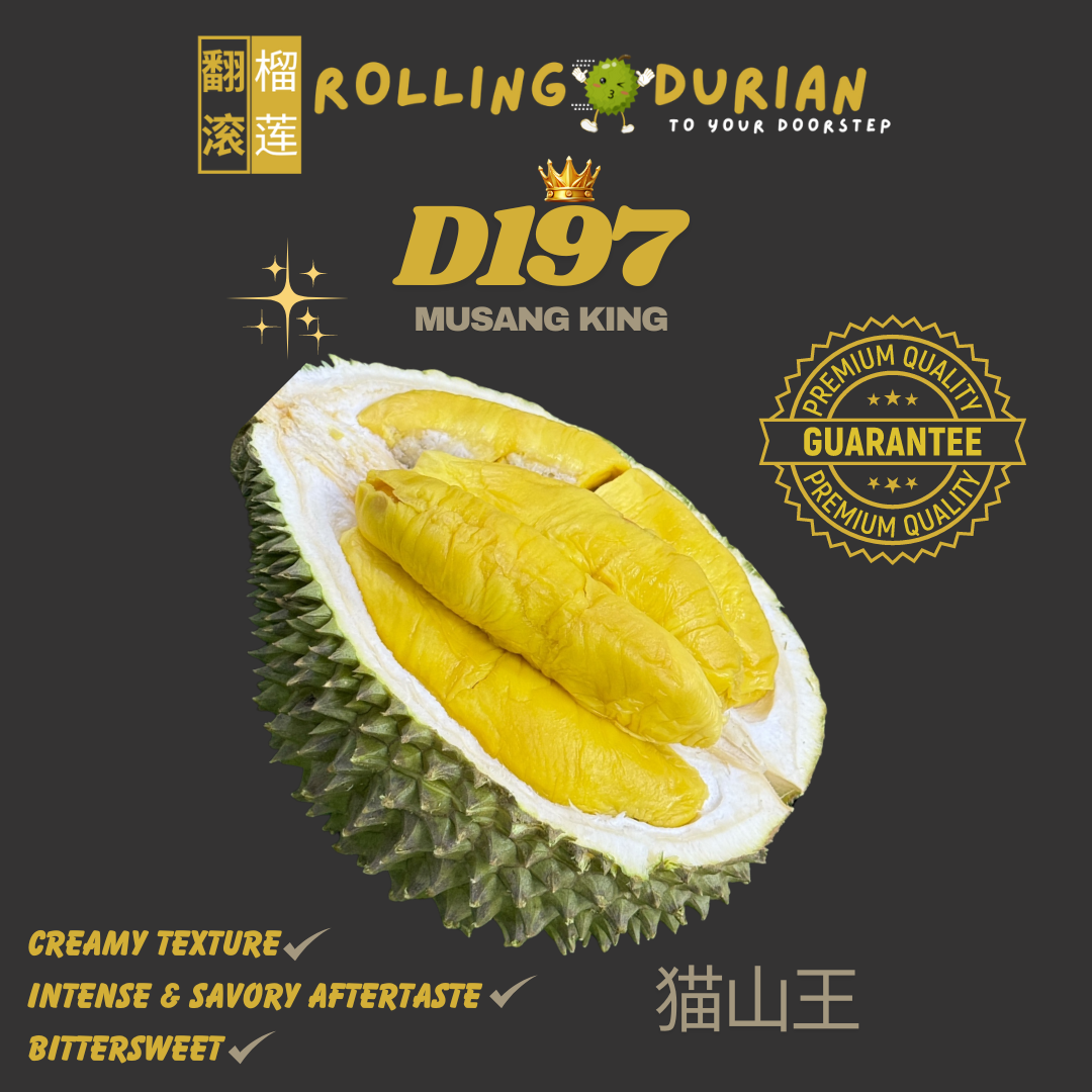 Black Gold / Old Tree Mao Shan Wang D197