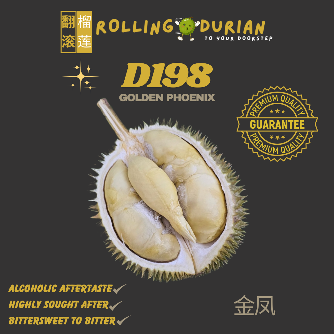 Golden Phoenix (JinFeng) D198