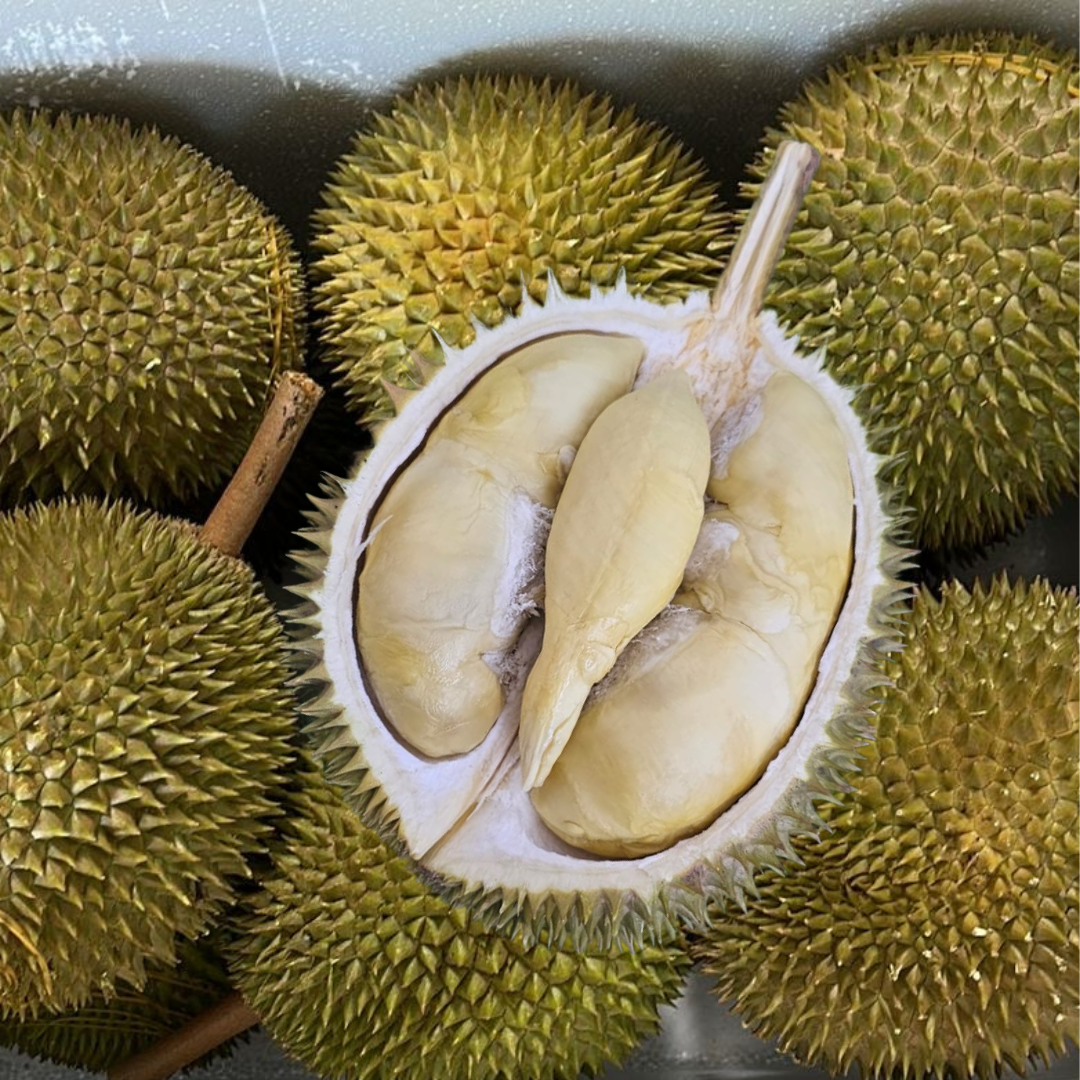 Golden Phoenix (JinFeng) D198