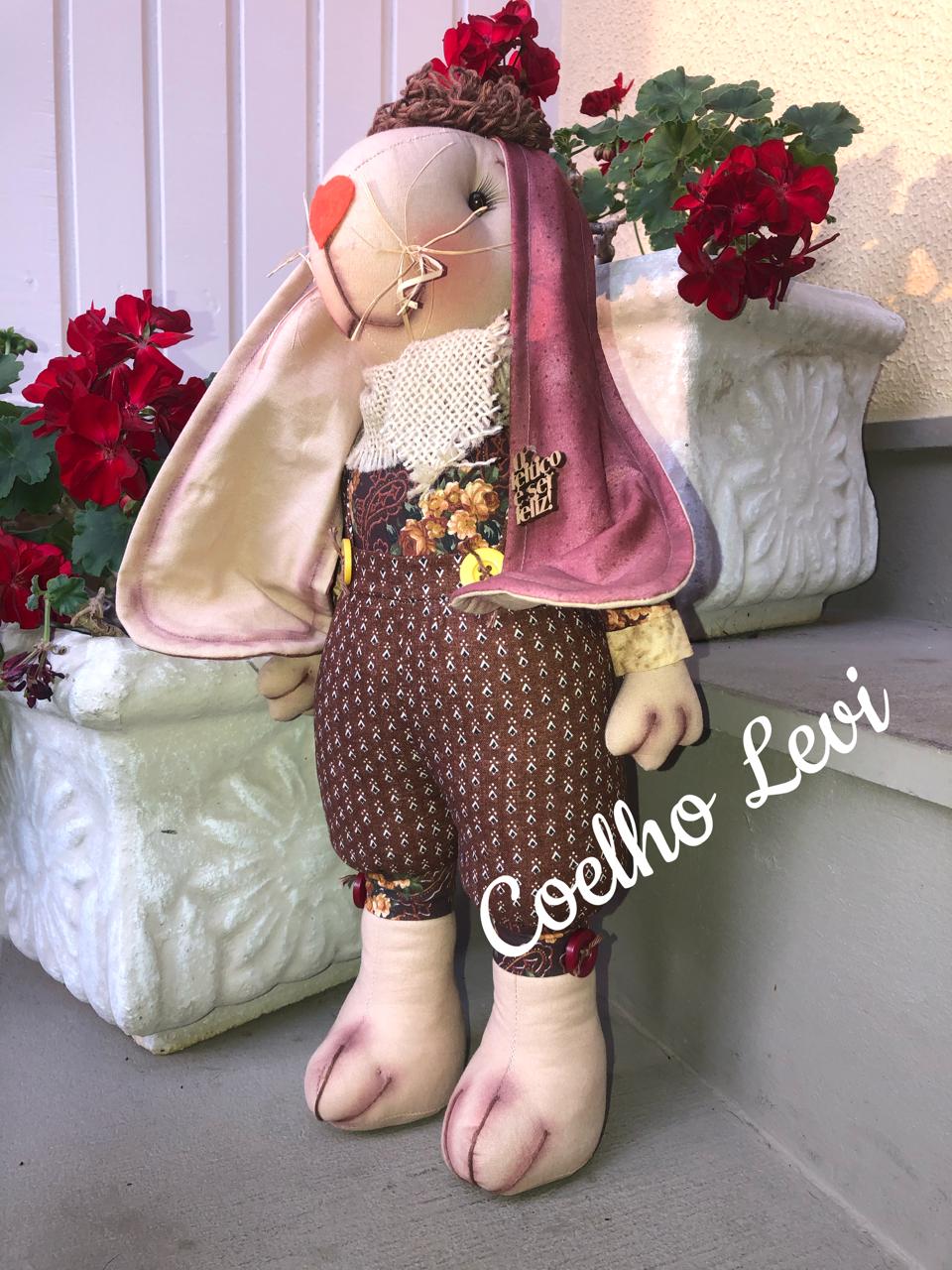 Coelho Levi
