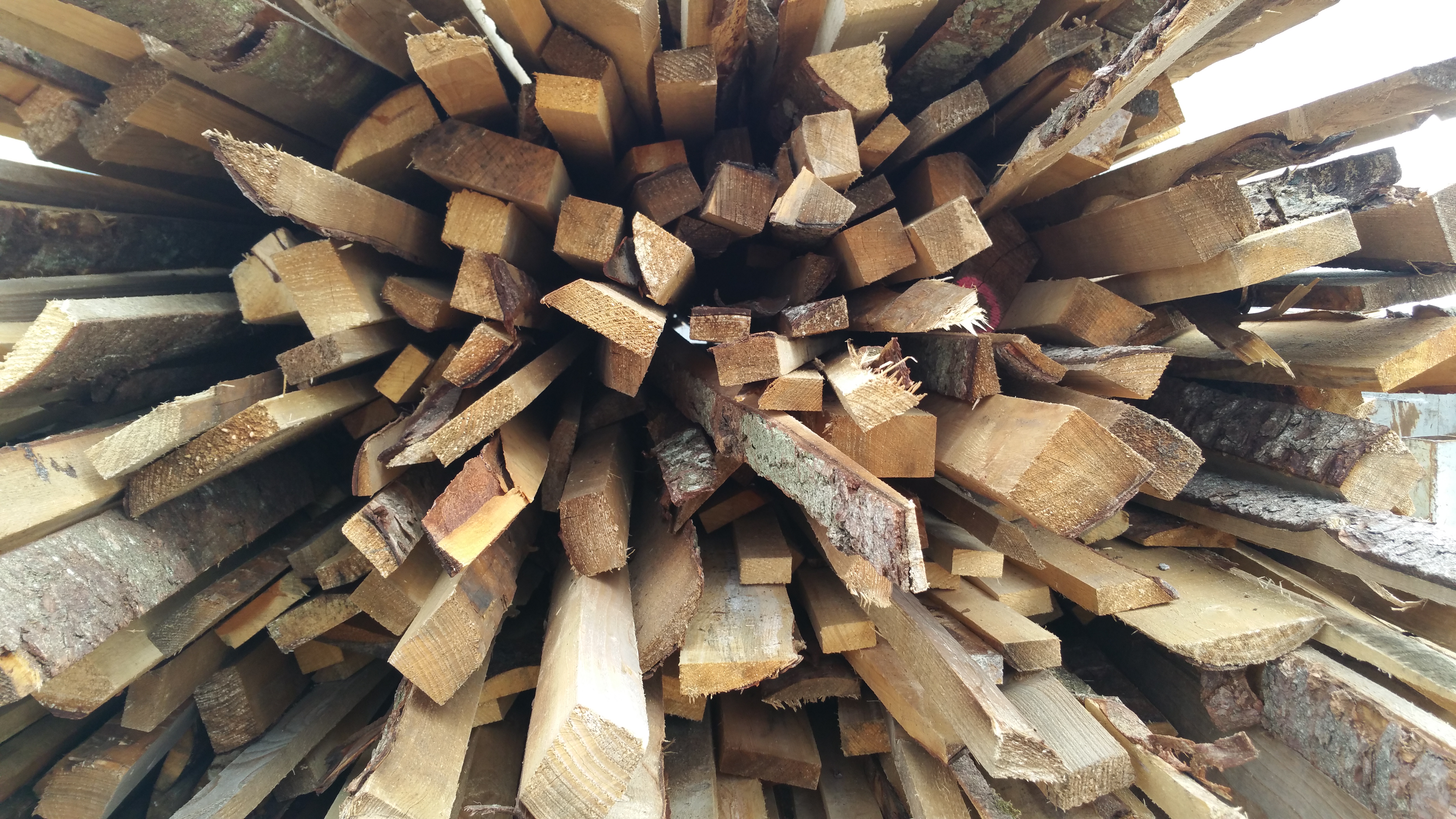 Atraižos nepjaustytos