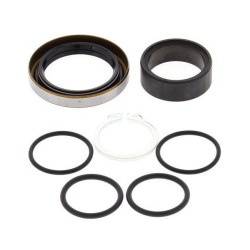 Kit Reparación Piñón de Ataque