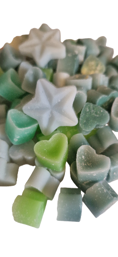 Savage | Handmade Soy Scented Wax Melts | X25