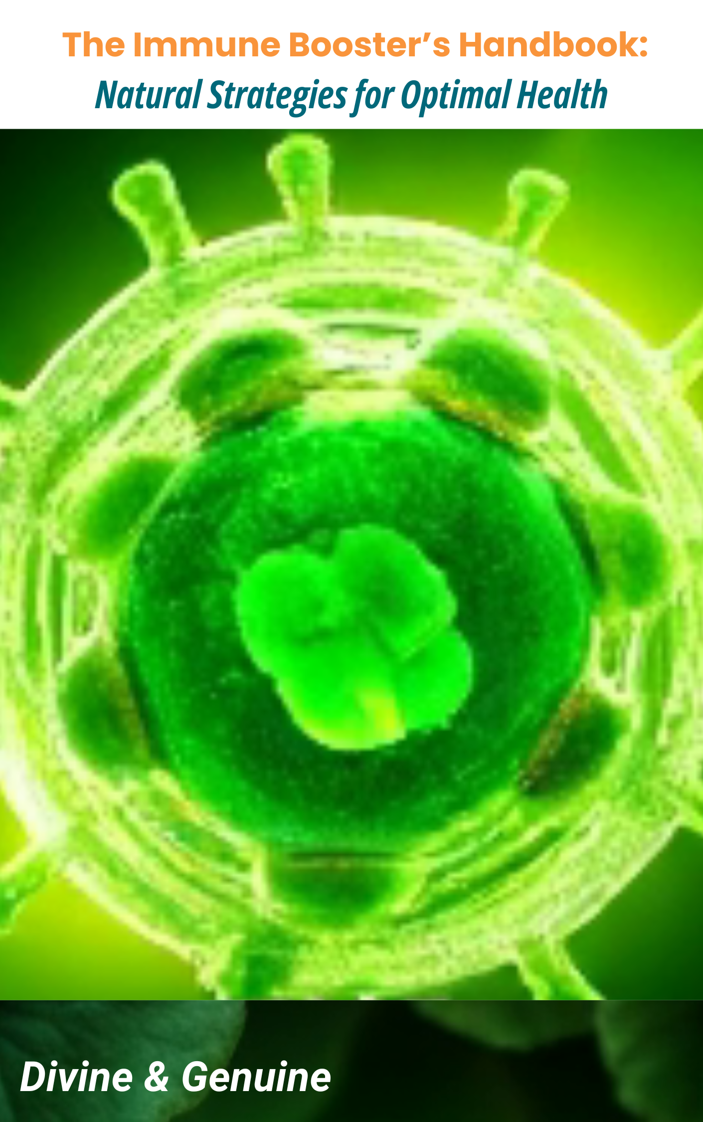 The Immune Booster's Handbook: Natural Strategies for Optimal Health