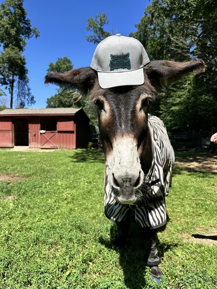 Support Small Businesses Hat
