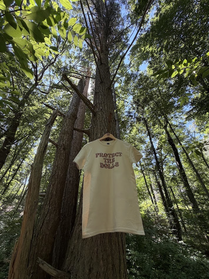 Protect The Dolls T-Shirt