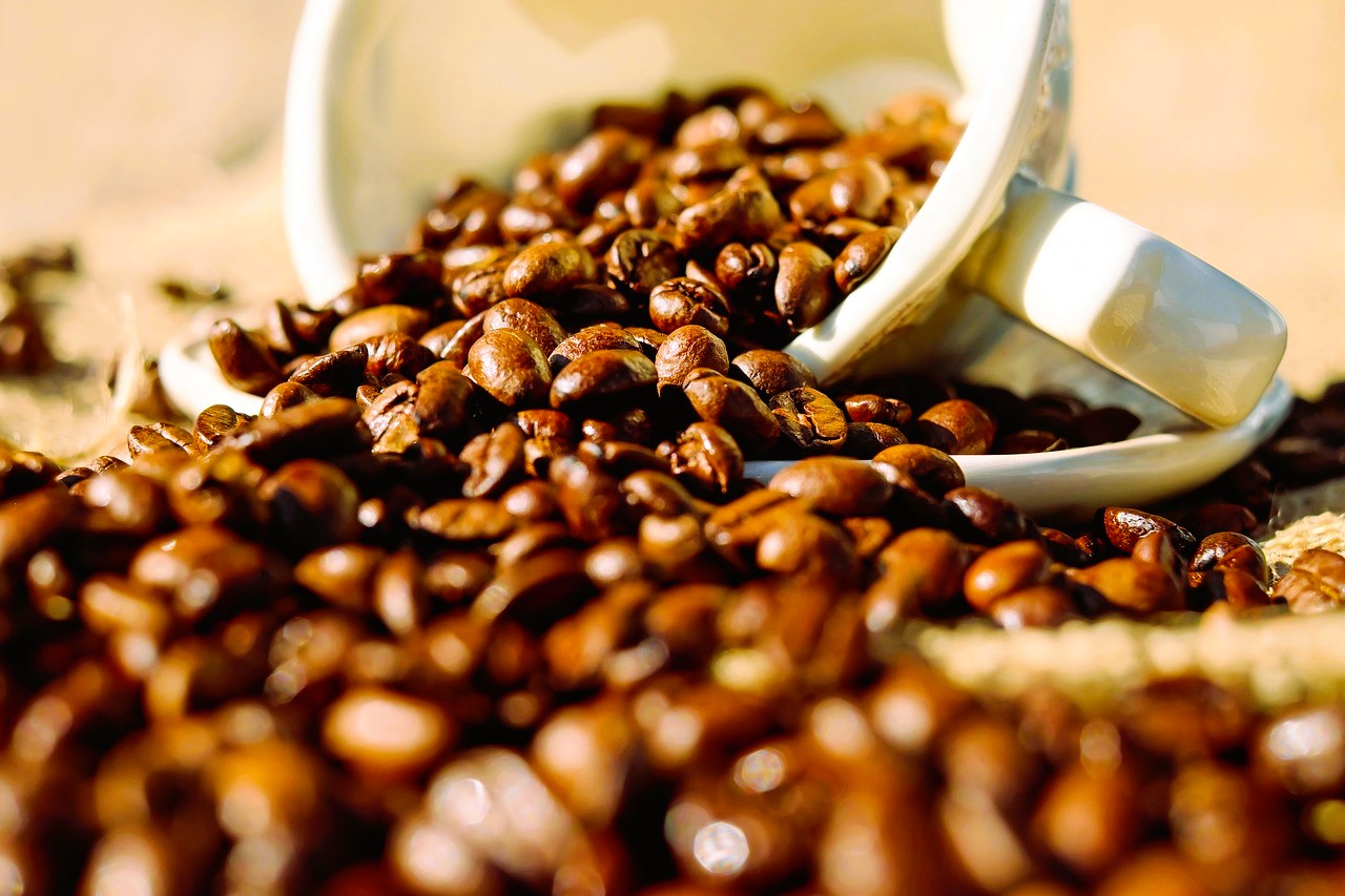 Cuba St Coffee Roasters