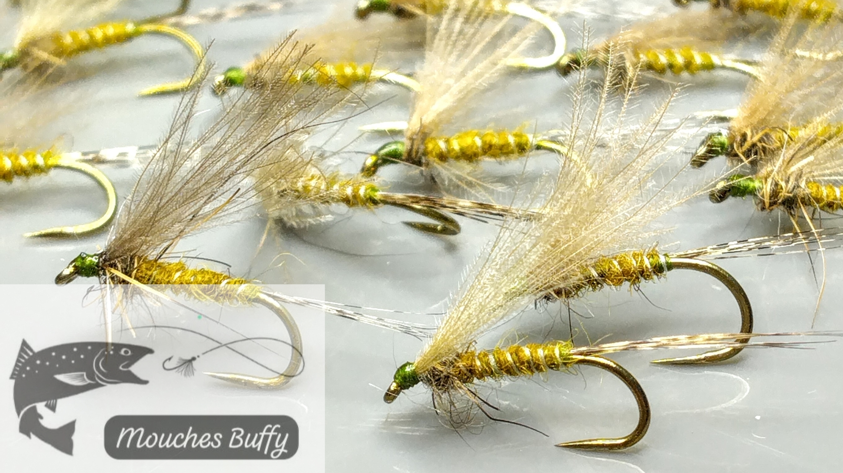 L'olive taille 16 