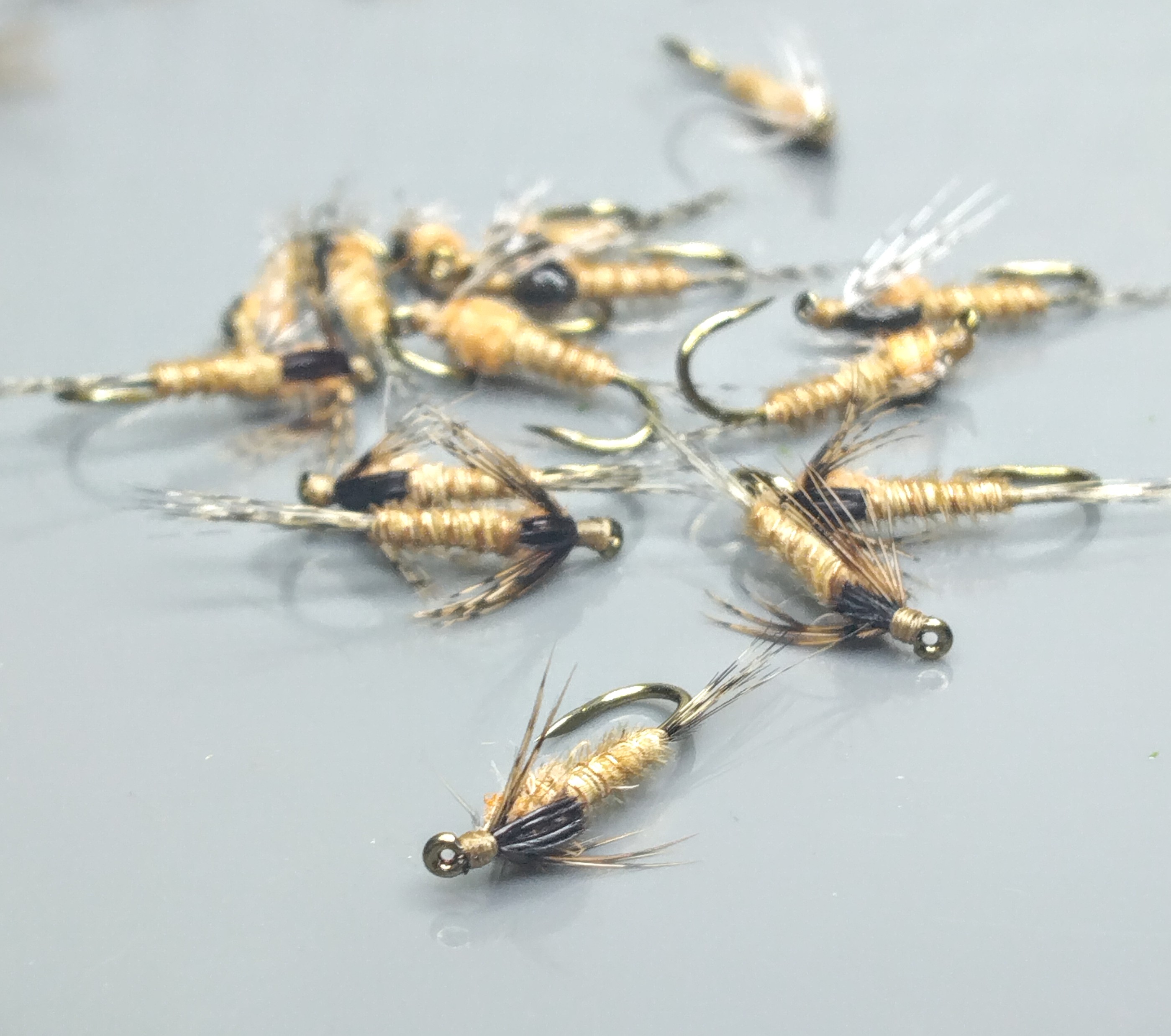 Pheasant tail 