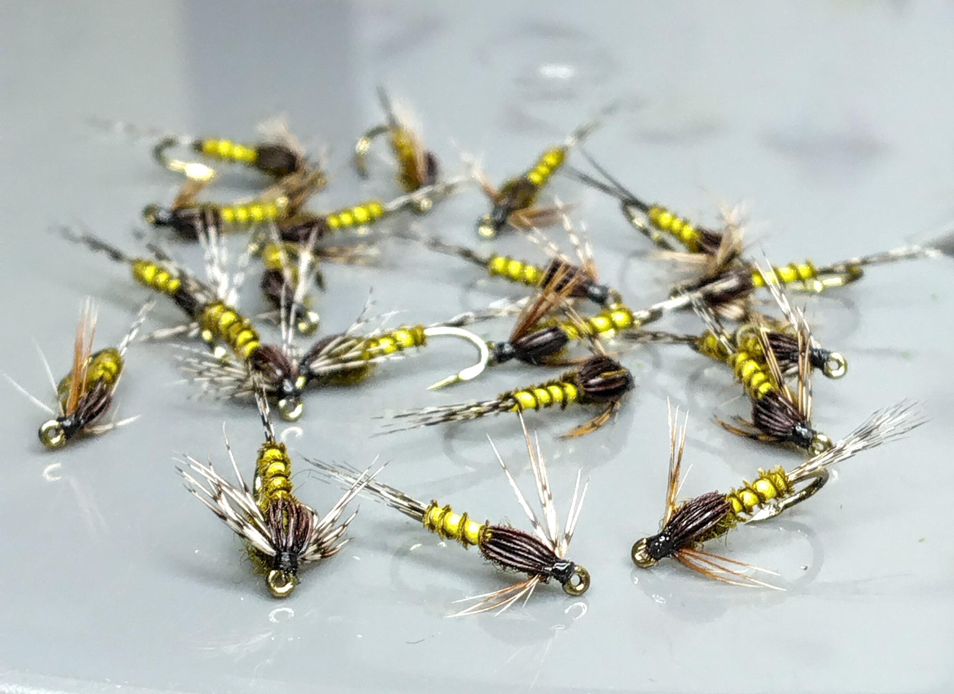 Baetis nymphe taille