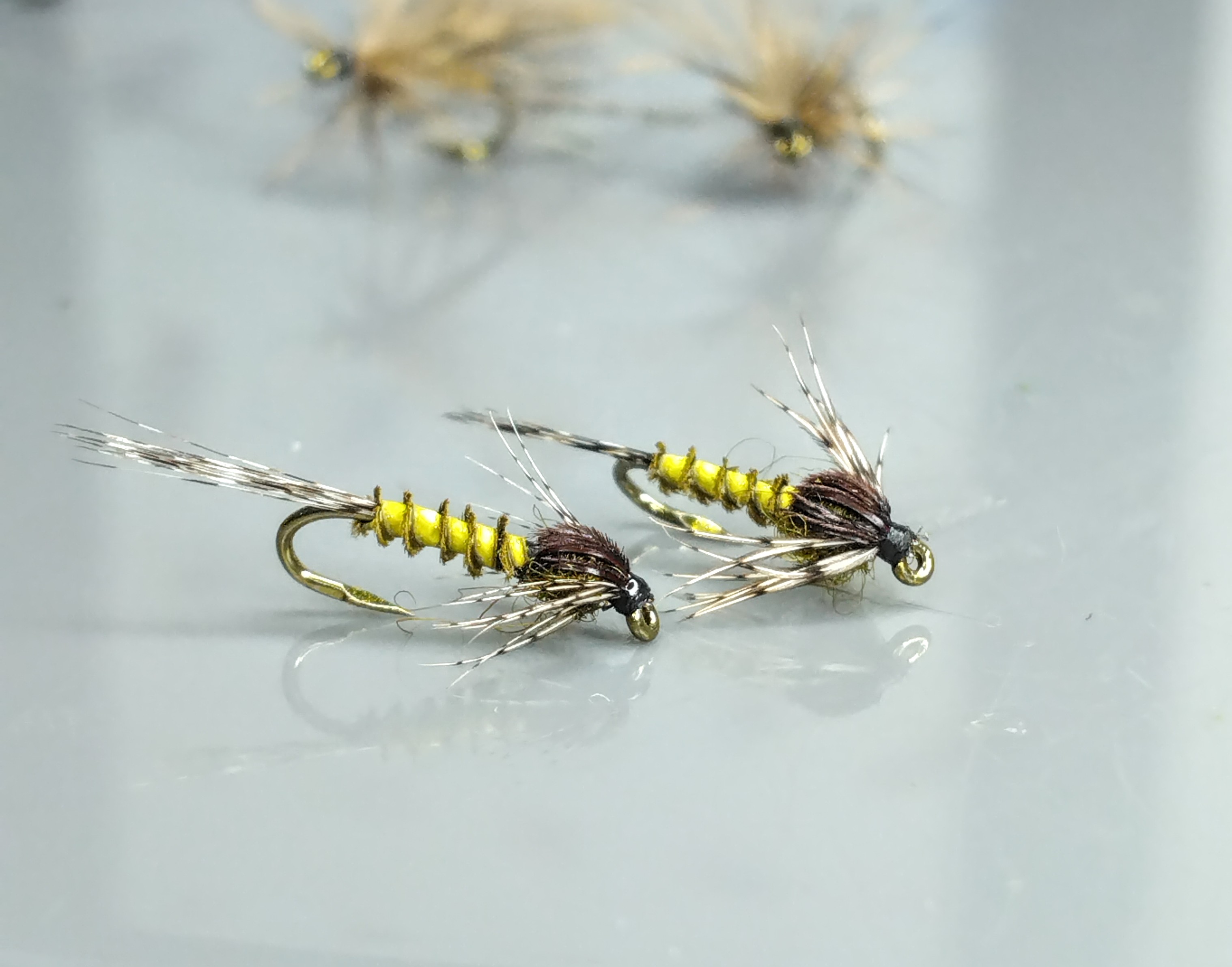 Baetis nymphe taille