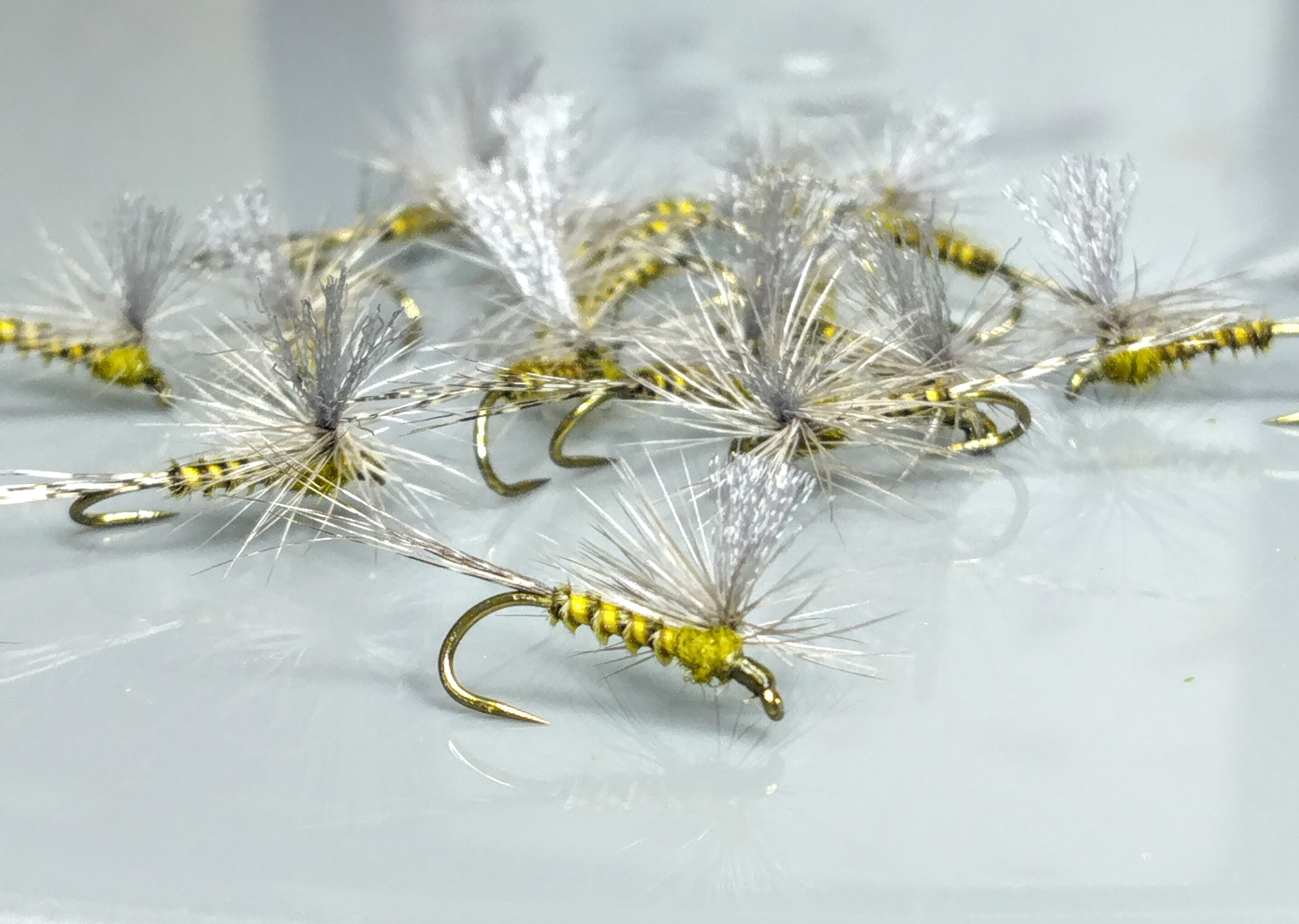 Parachutes taille 16 