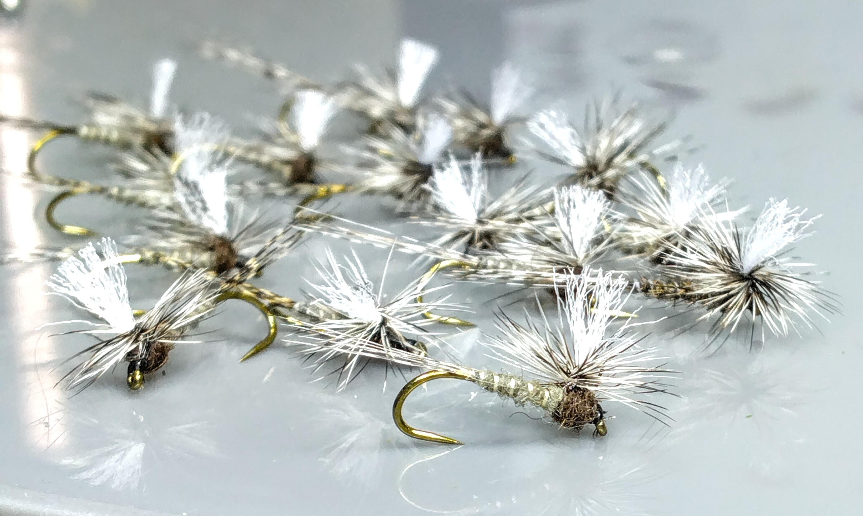 Parachutes taille 16 