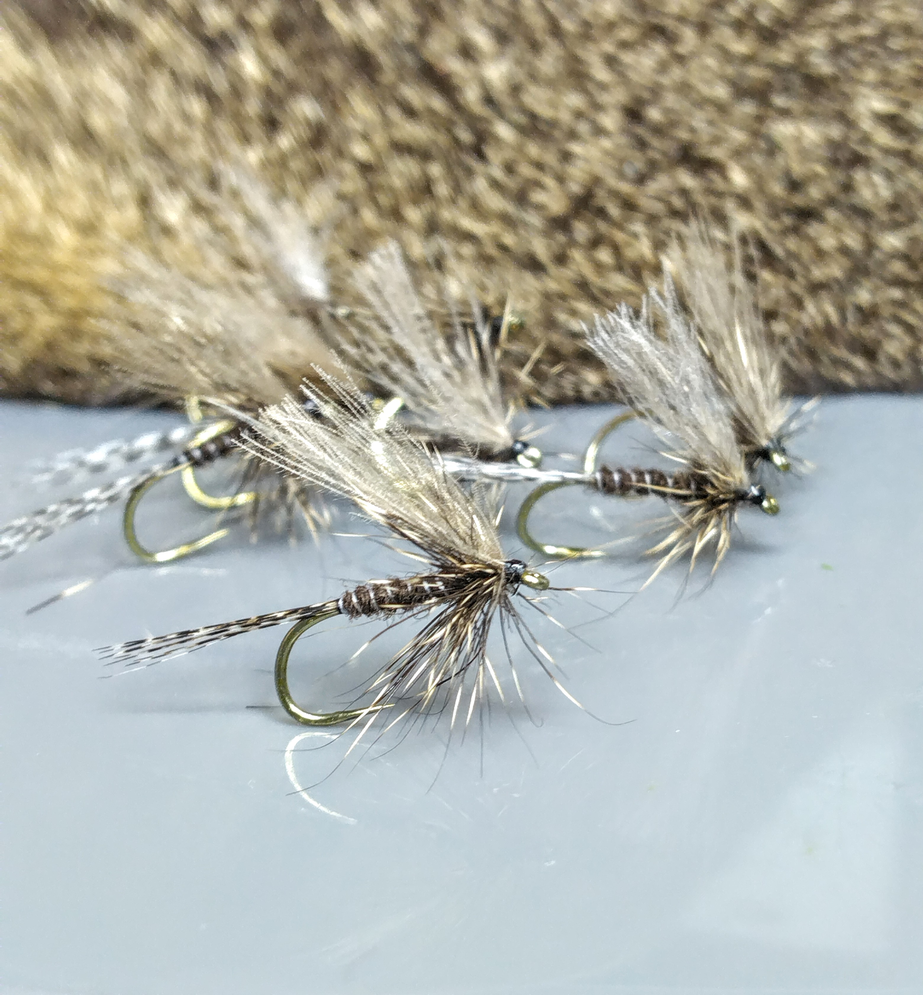 Rhithrogena