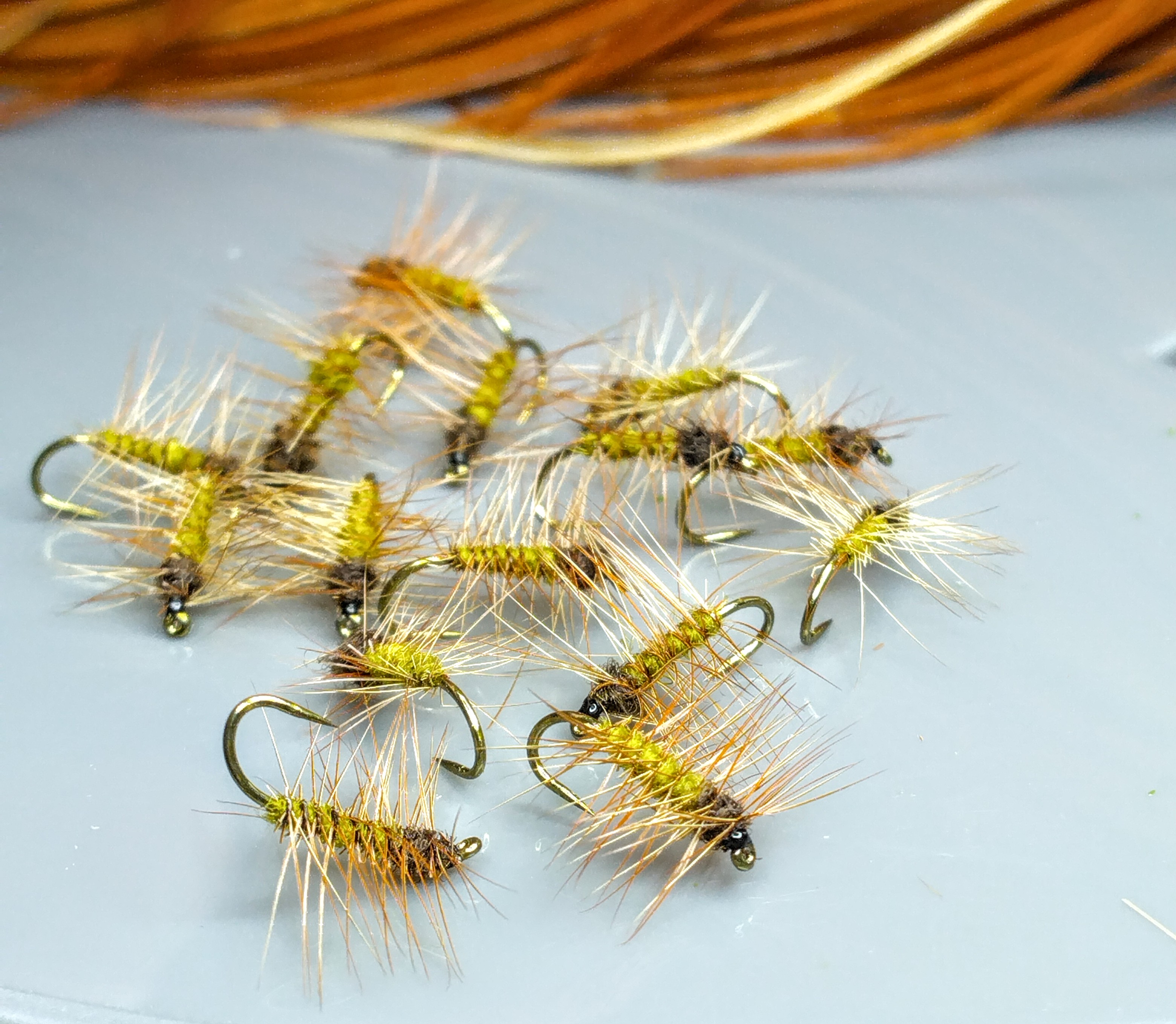 Superpupa