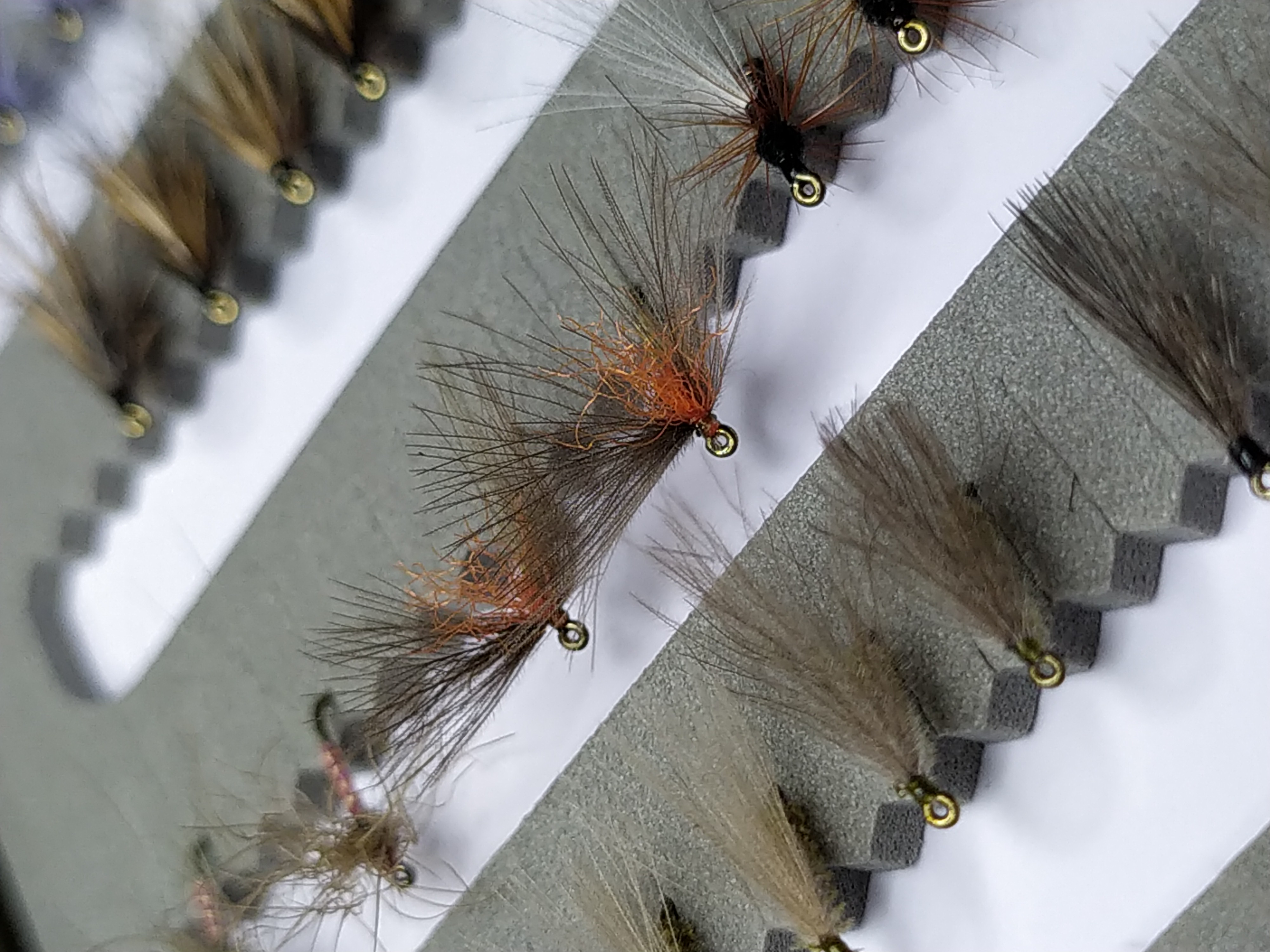 Boîte mouches sèches 