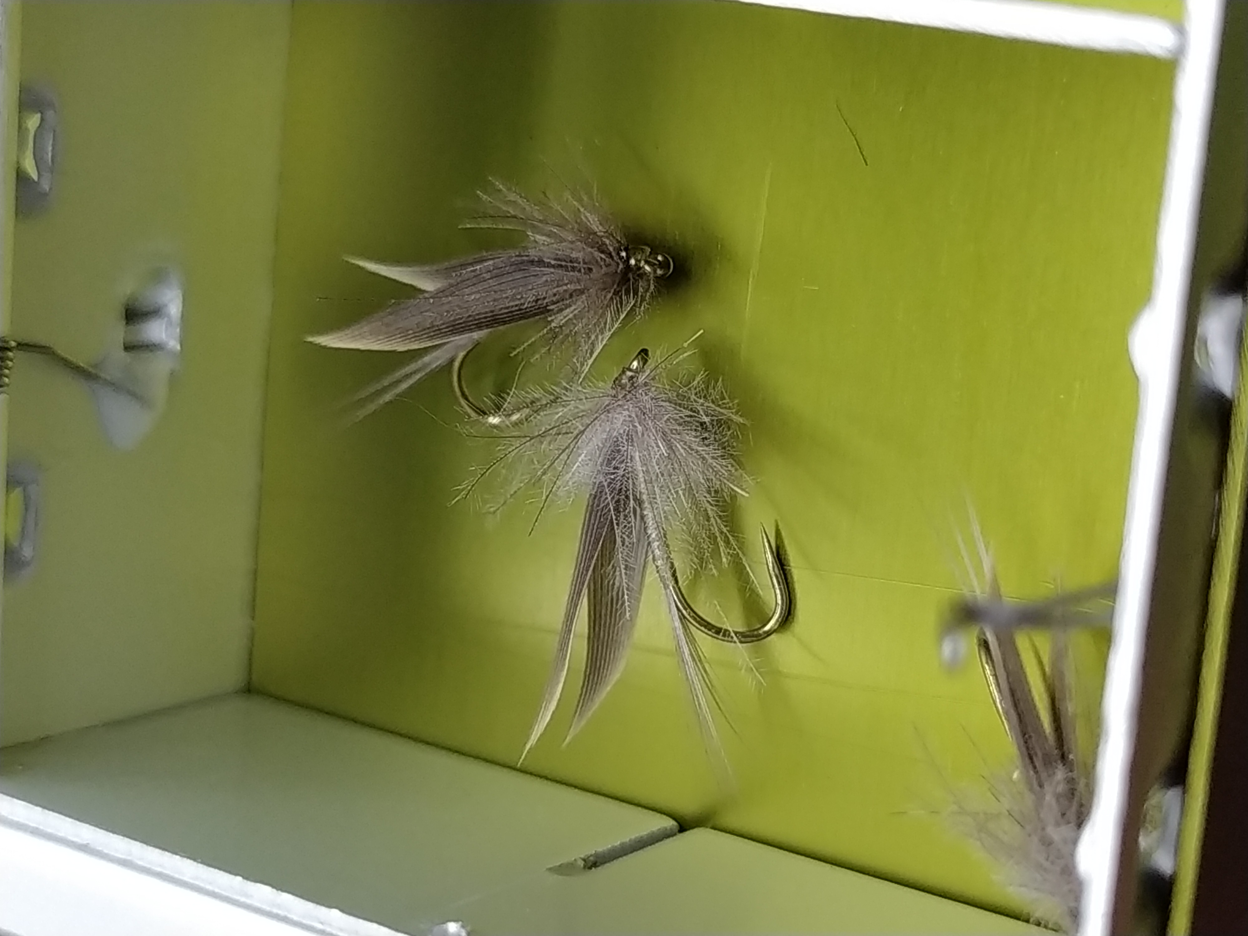 Boîte mouches sèches 