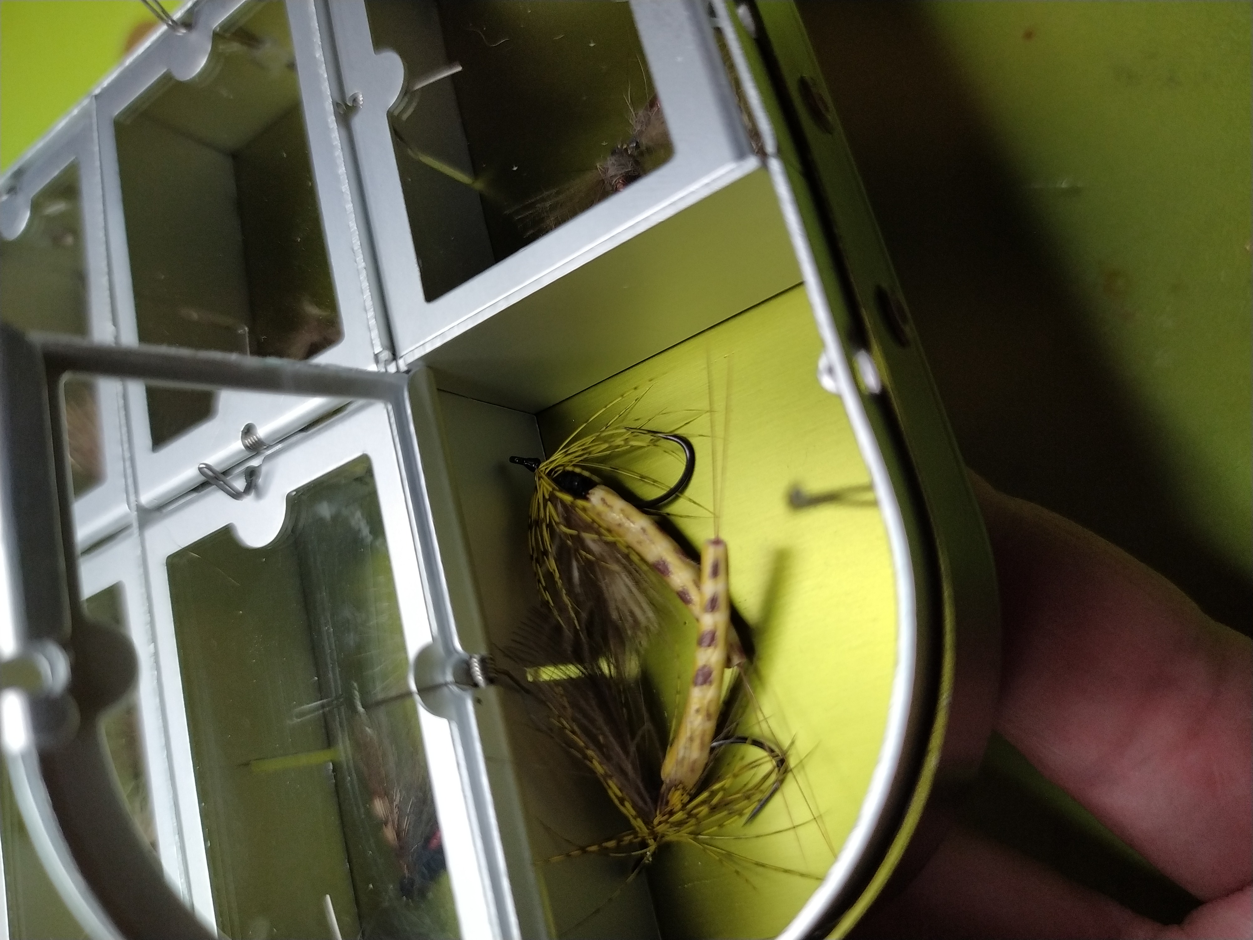 Boîte mouches sèches 