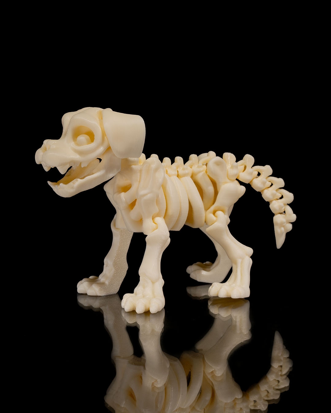 Skeletal Puppy Figuring