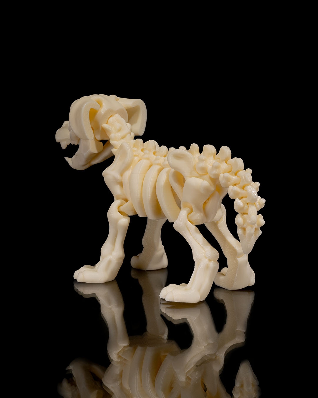 Skeletal Puppy Figuring