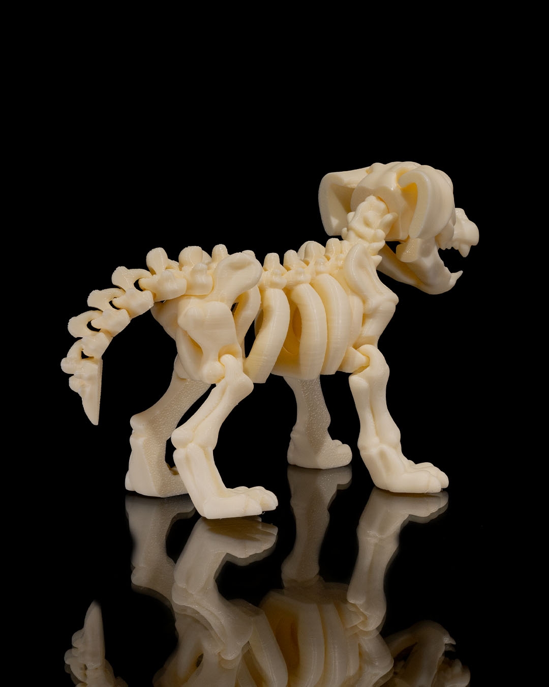 Skeletal Puppy Figuring