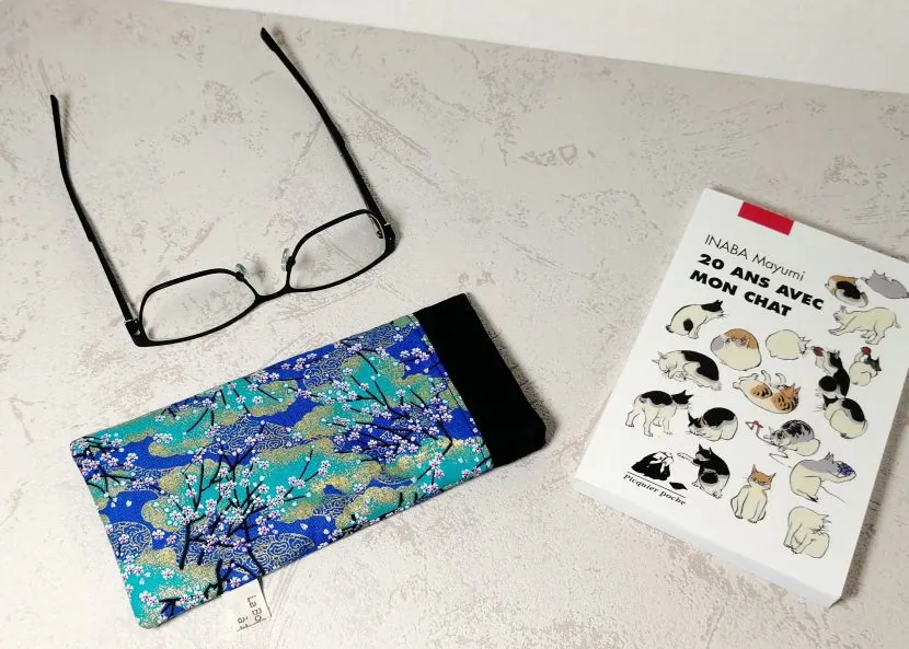Étui à lunettes bleu