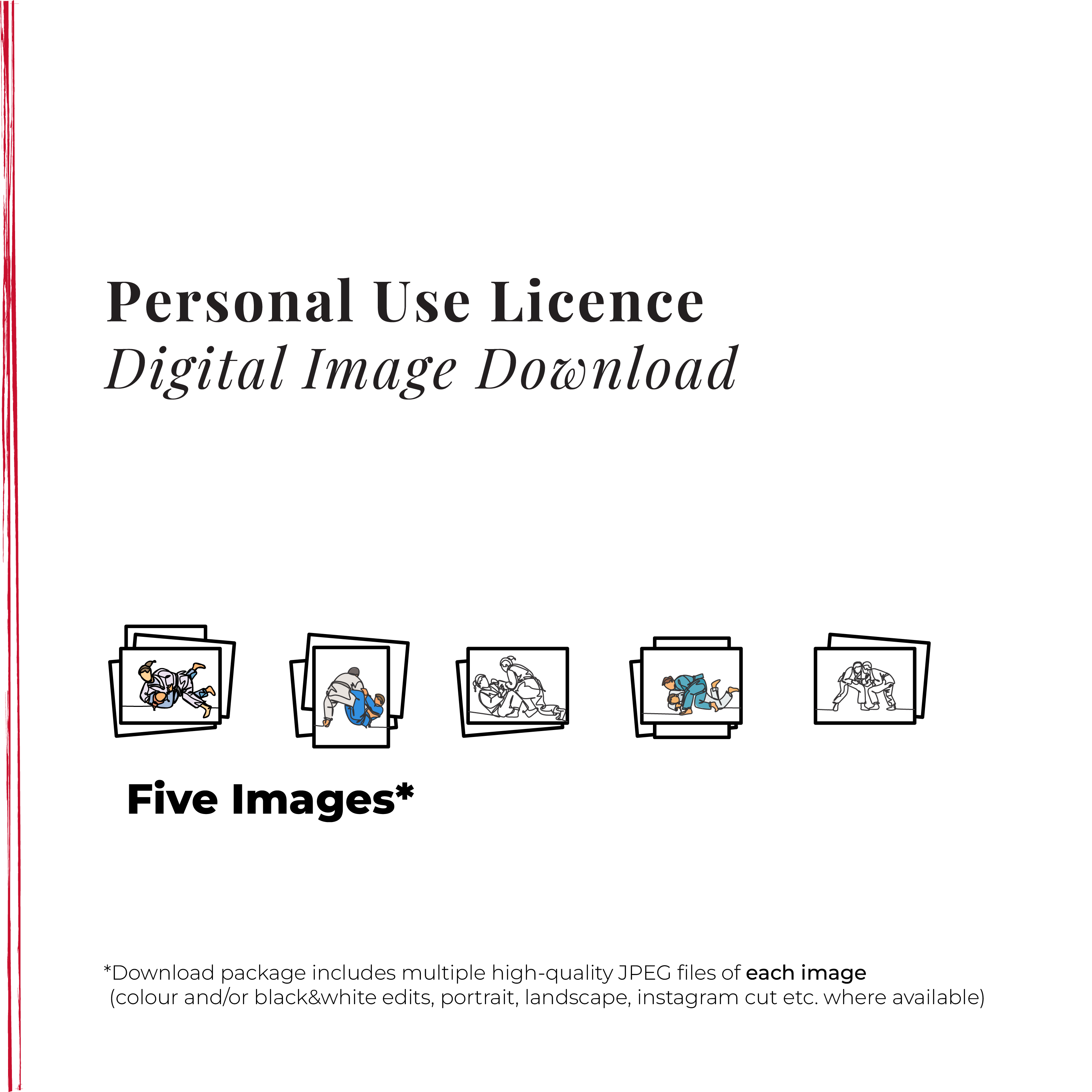 🔐 Personal Use Licence