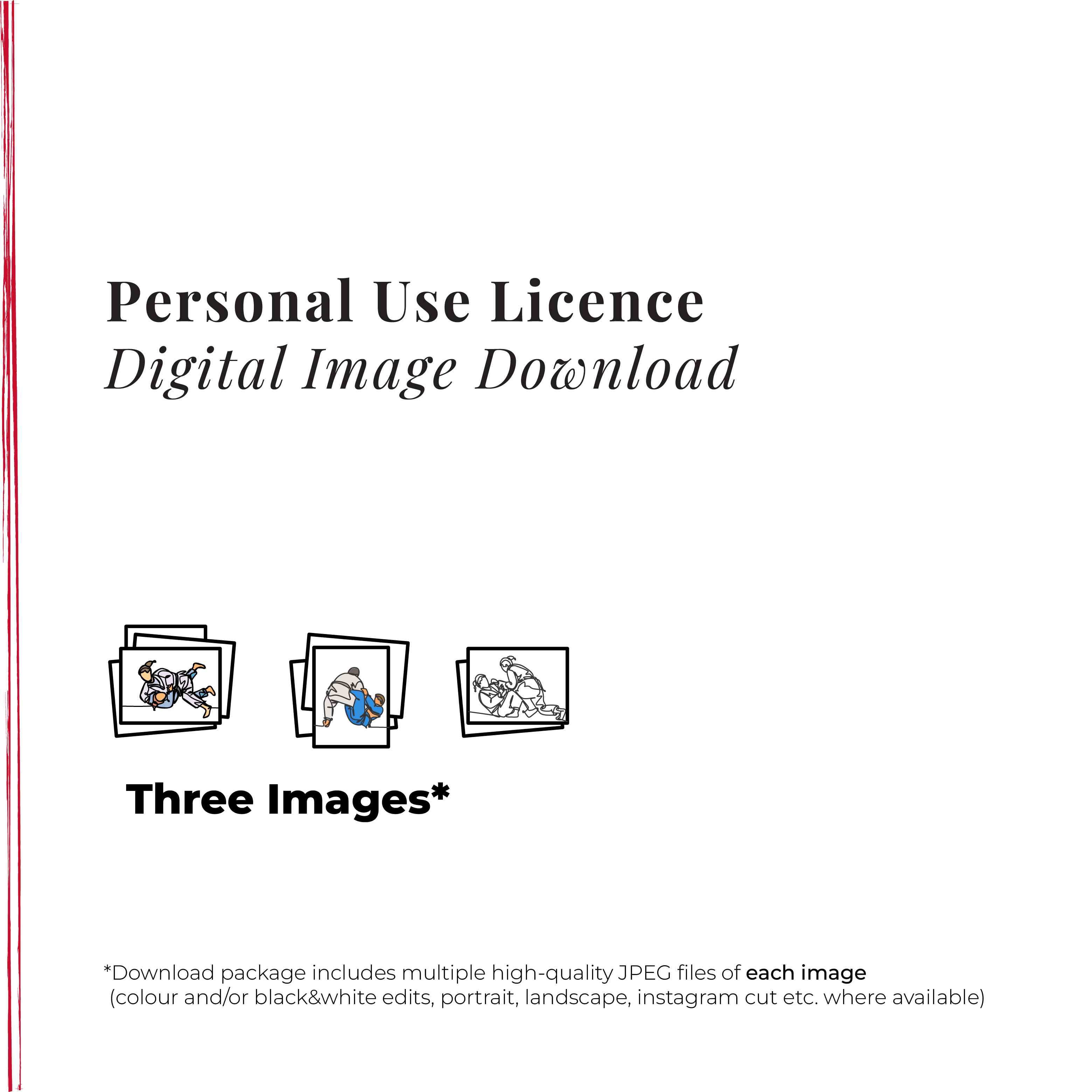 🔐 Personal Use Licence